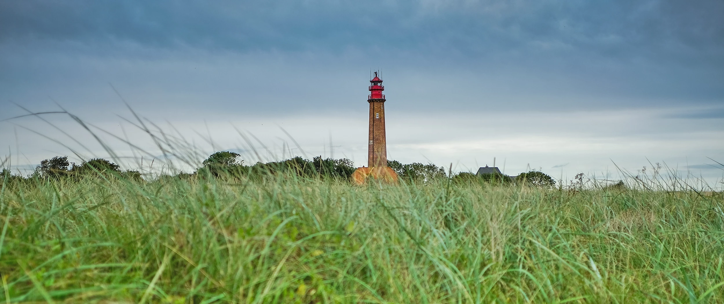 Blick von der grünen Wiese auf den Leuchtturm auf der Insel Fehmarn an der Ostsee am bedeckten Himmel