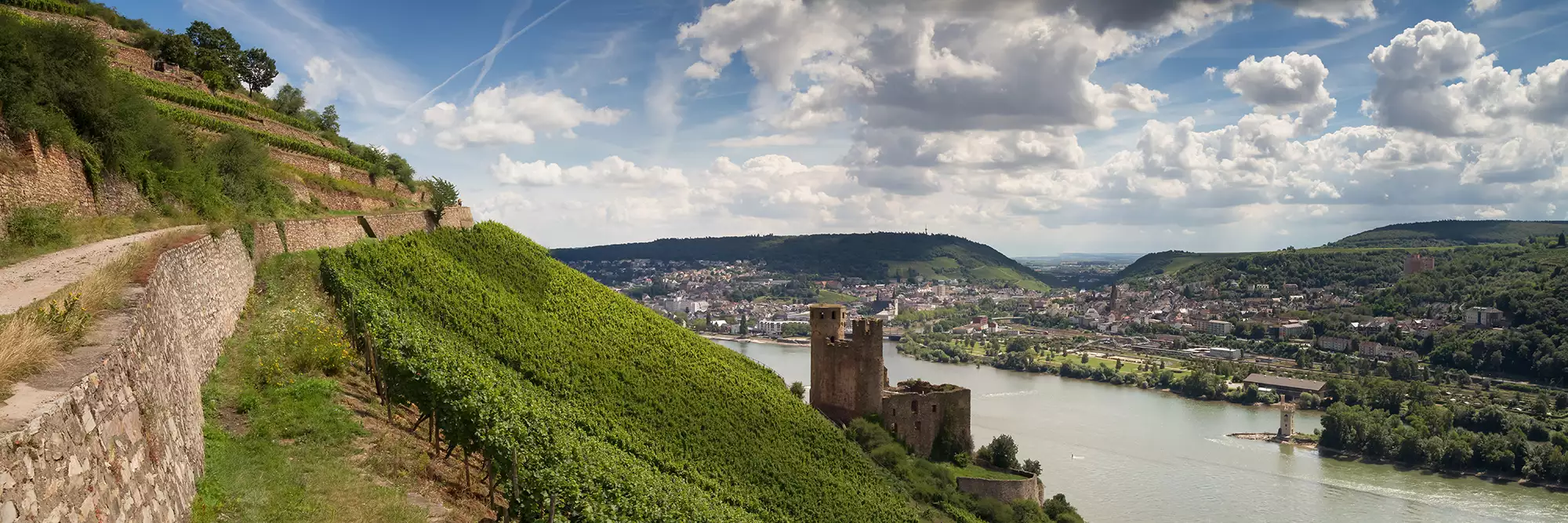 Burg Ehrenfels (Rüdesheim)