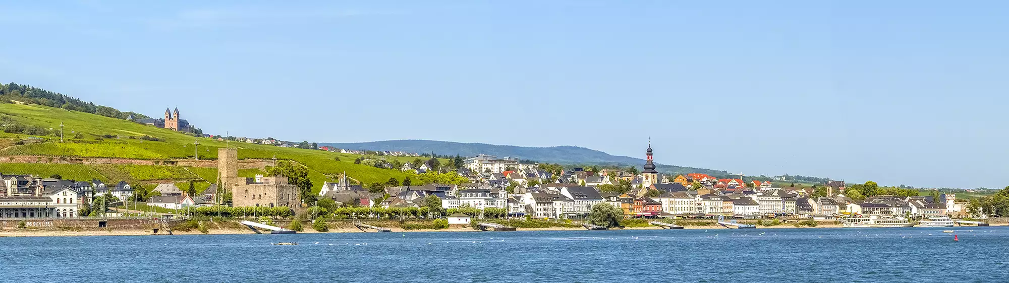 Flusspanorama Rüdesheim