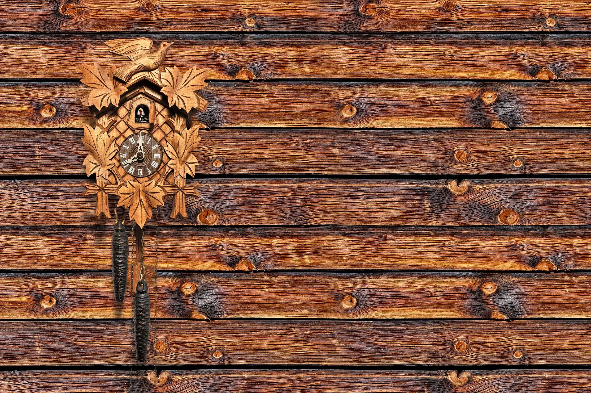 Schwarzwälder Kuckucksuhr auf Holzwand im Schwarzwald
