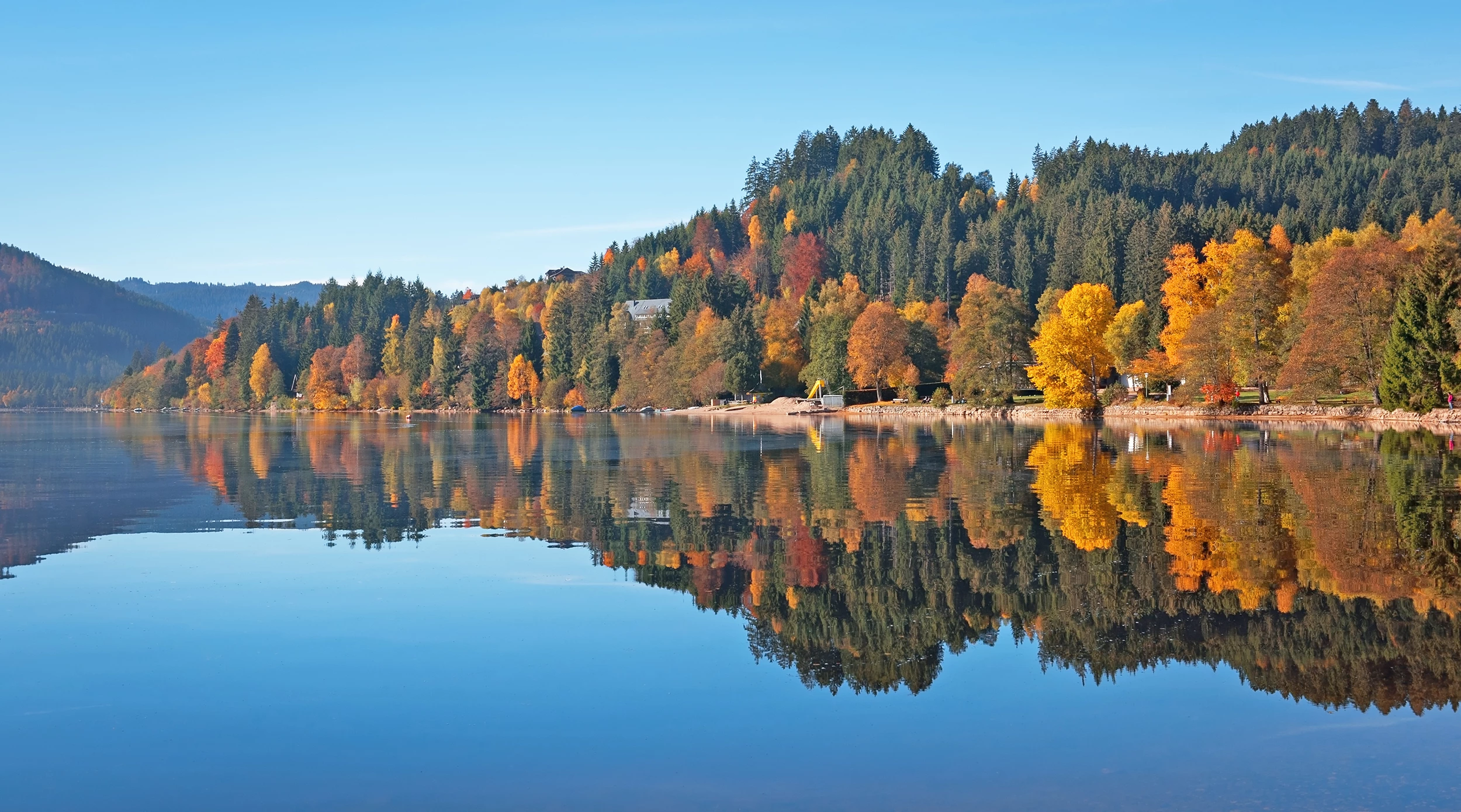 herbstlicher Titisee im Schwarzwald mit Spiegelung der Bäume im Wasser
