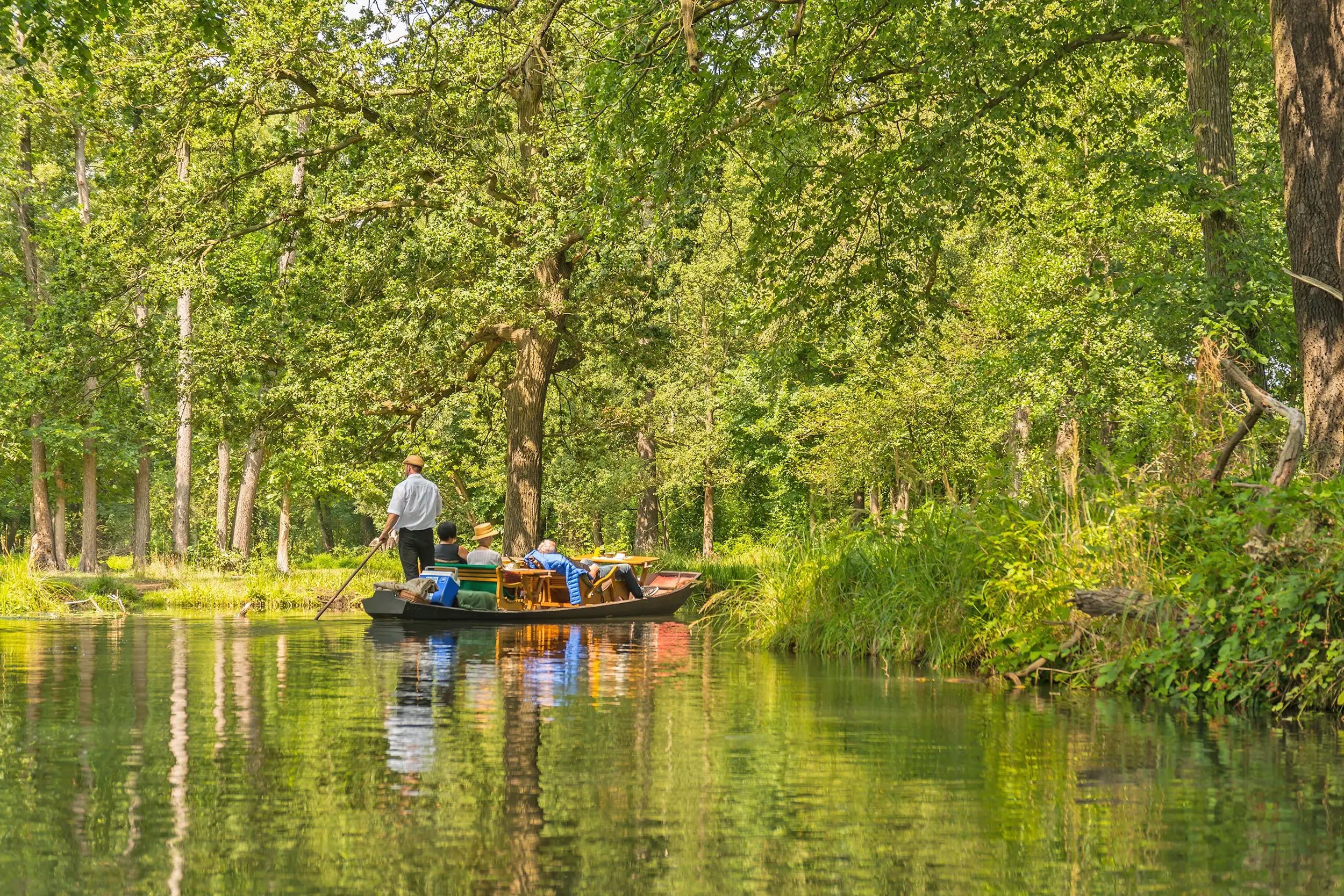 Ein Kahnfährmann stakt einen Kahn mit Gästen auf einem Fließ im grünen Spreewald im Sommer