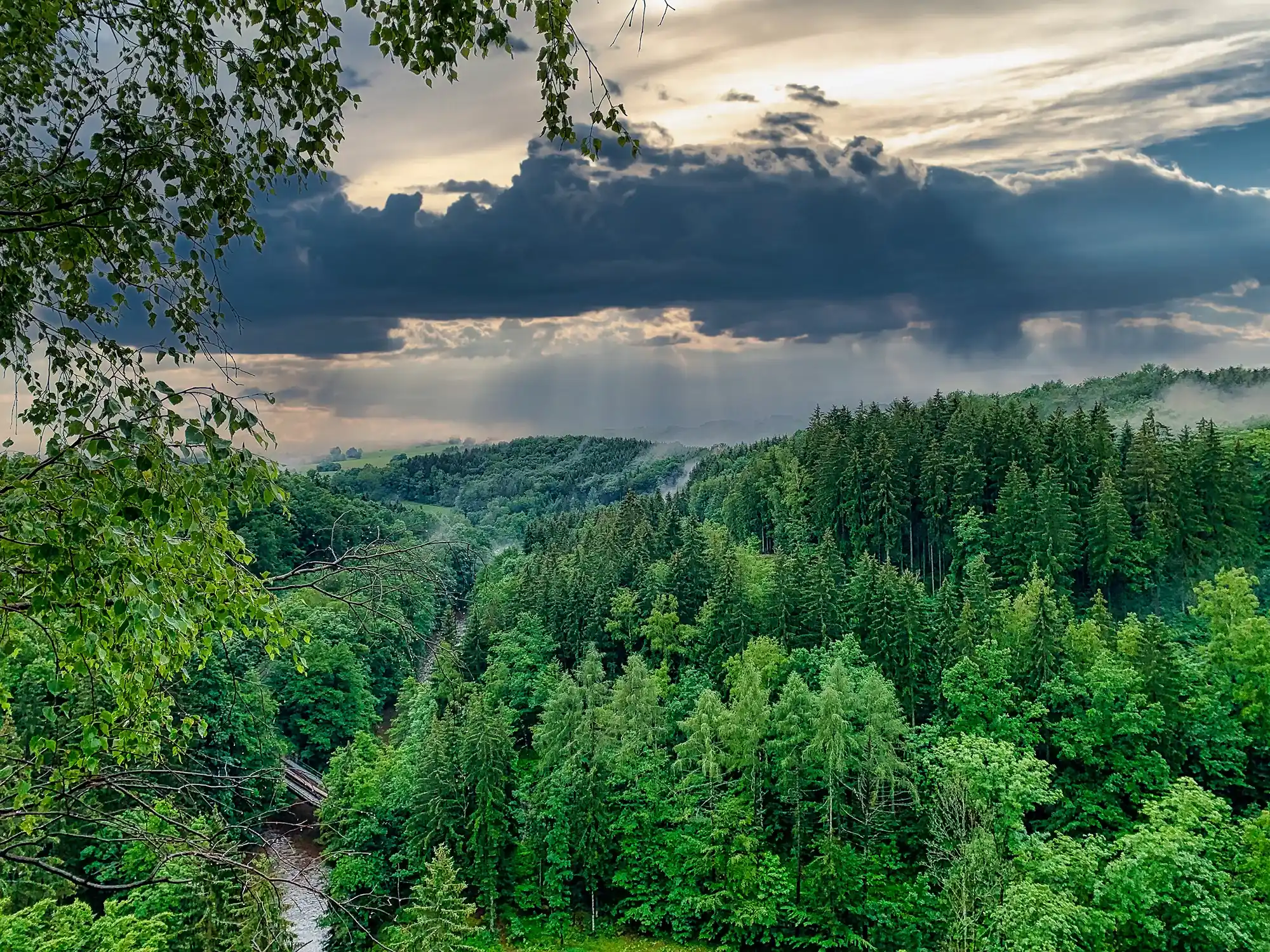 Wolken über der Wolkenteiner Schweiz im Erzgebirge mit einem nebelverhangenen Wald
