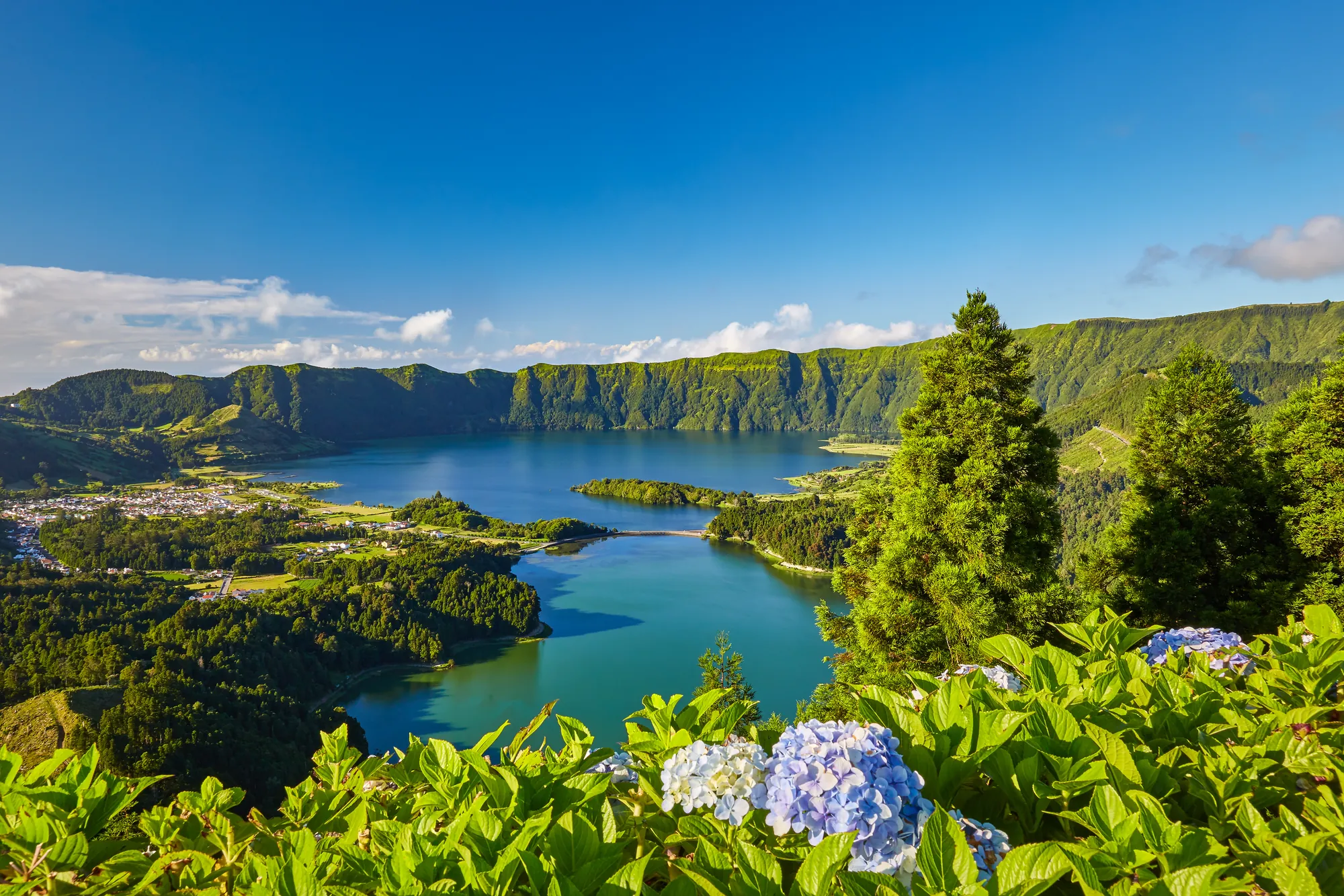Blick auf die blaue und grüne Lagune von Sete Cidades mit blauer Hortensienhecke im Vordergrund