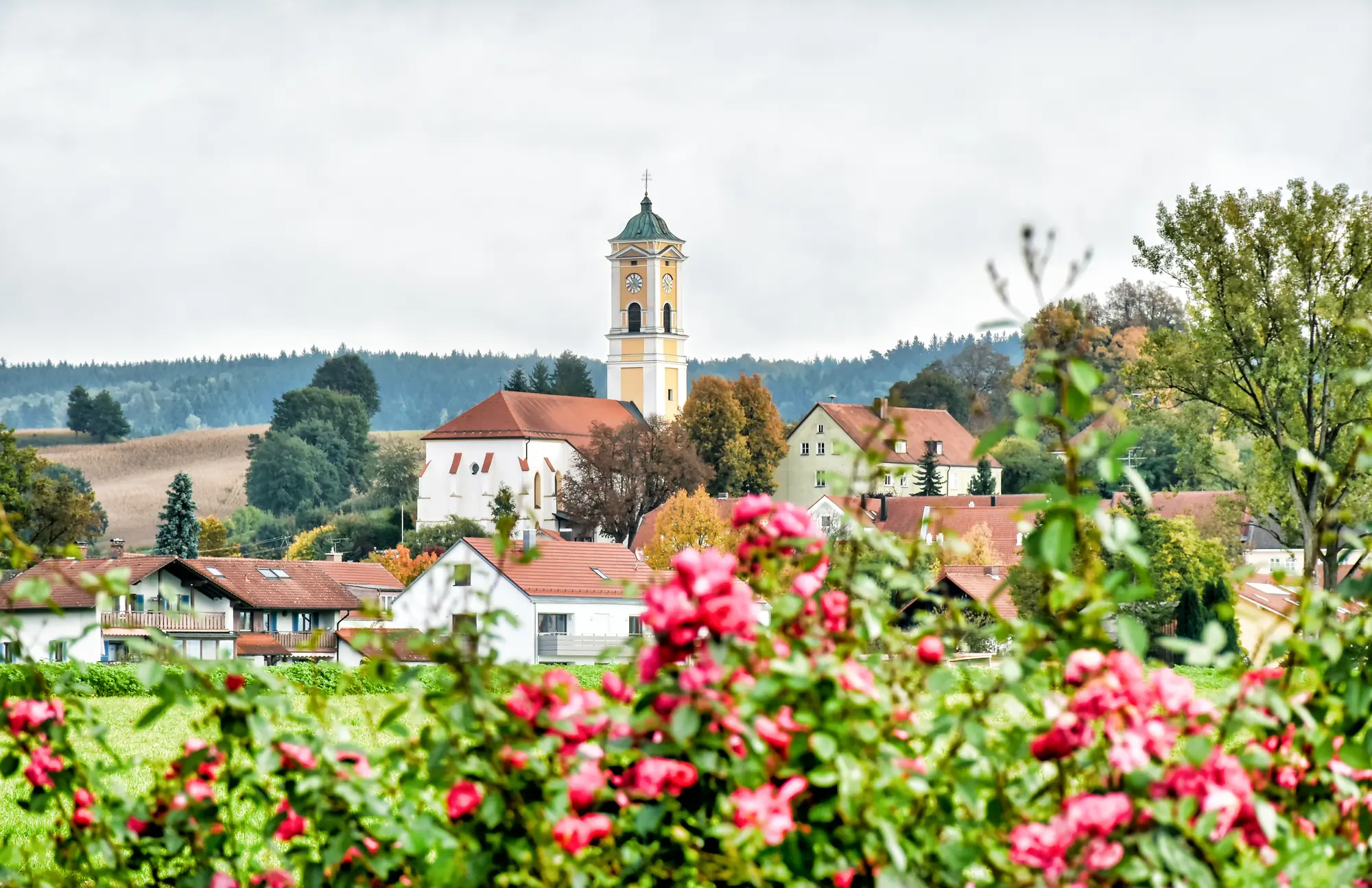 Bad Birnbach Ortsansicht mit Blumen im Vordergrund