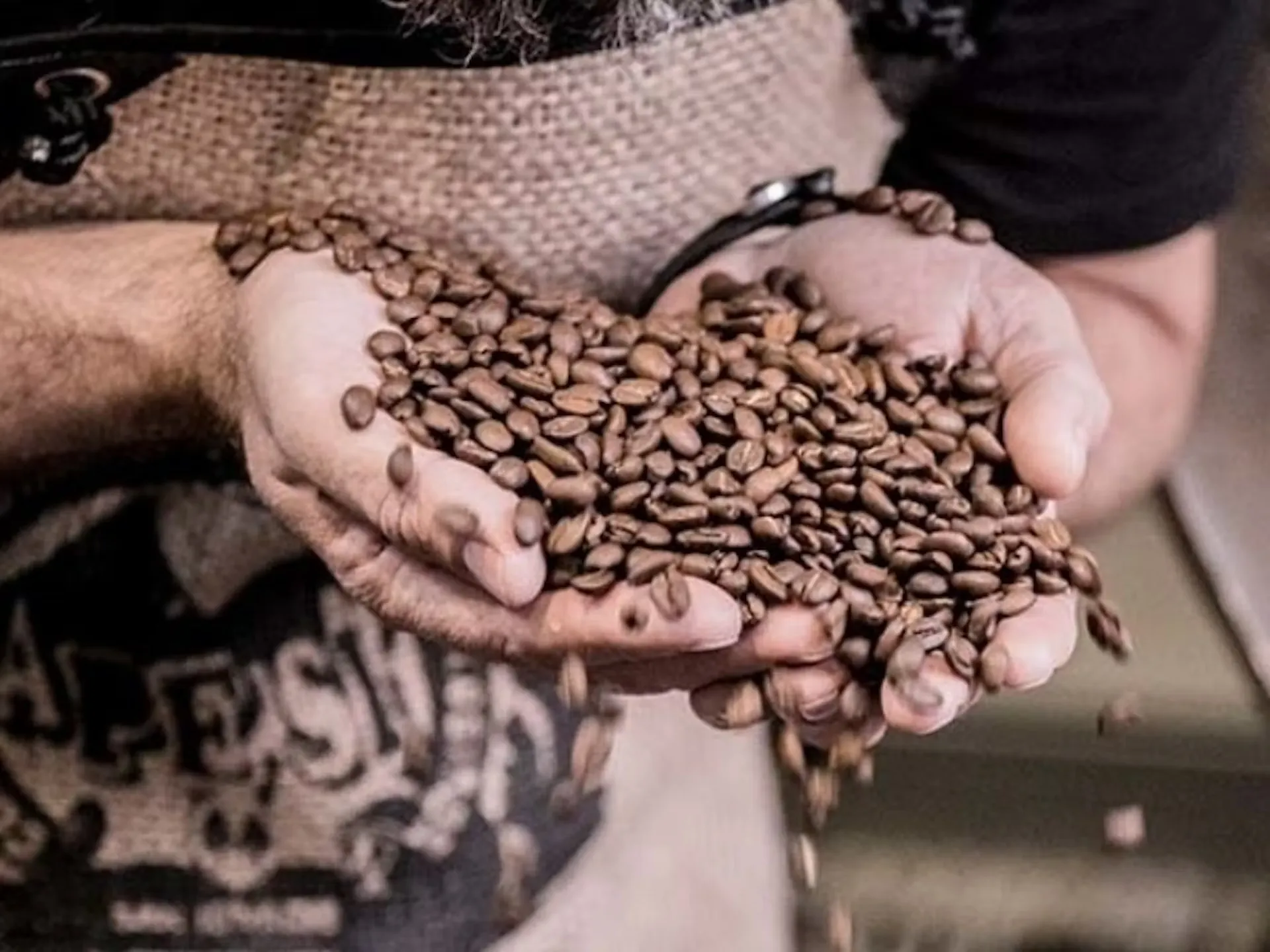 2 Hände voll mit Kaffeebohnen beim Barista Kurs