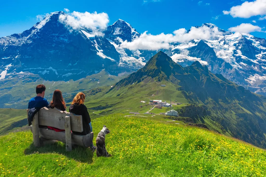 Ausblick vom Männlichen über die saftig grünen Wiesen ins Tal und auf die imposanten Berge im Berner Oberland
