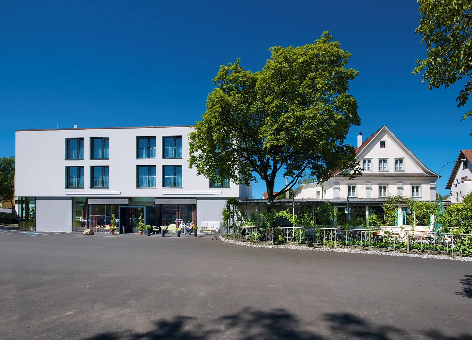 Gasthof Lamm in Bregenz: Modernes weißes Gebäude mit großen Fenstern neben einem traditionellen weißen Haus mit Giebeldach, davor ein großer Baum und ein Parkplatz, Beispielhotel für die Radreise Bodensee