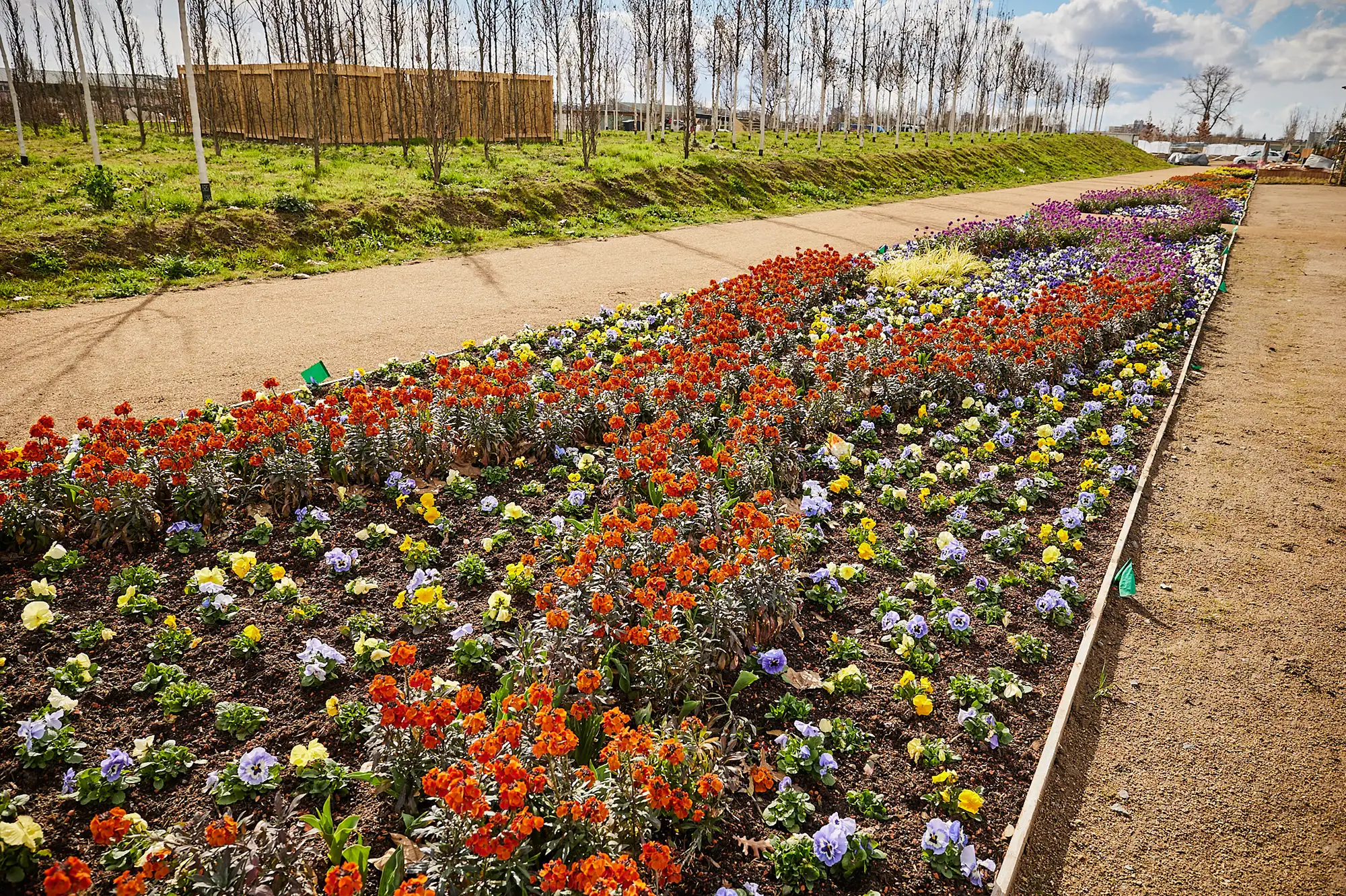 Bundesgartenschau Mannheim 2023 Blumen im Spinelli Park - Buga 23