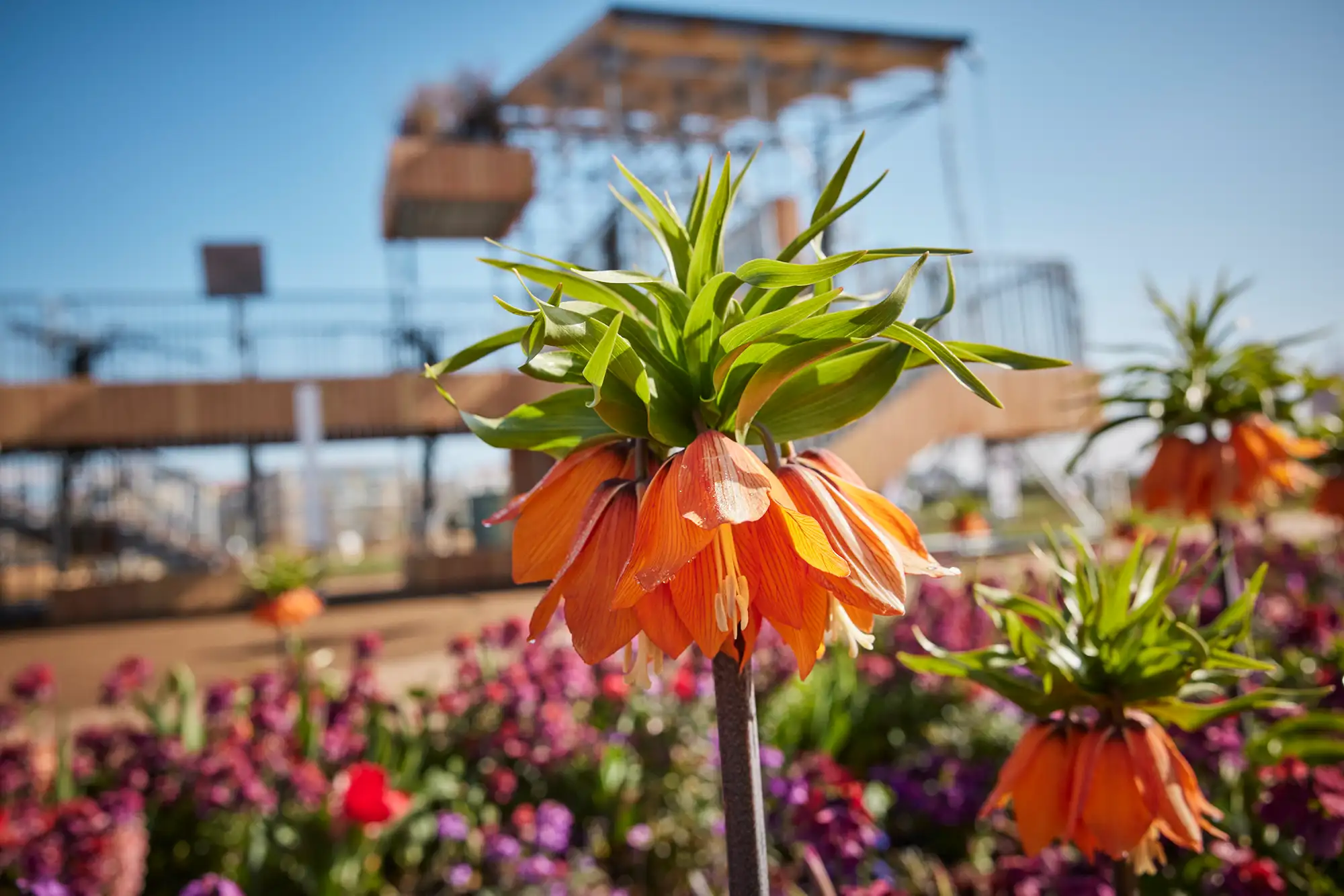 Bundesgartenschau Mannheim 2023 Spinelli Park - Buga 23