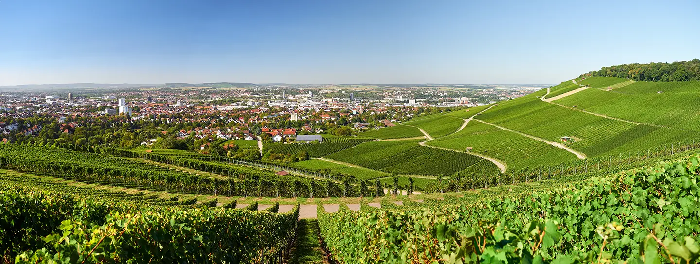 Panoramablick auf Heilbronn mit Weinbergen im Vordergrund