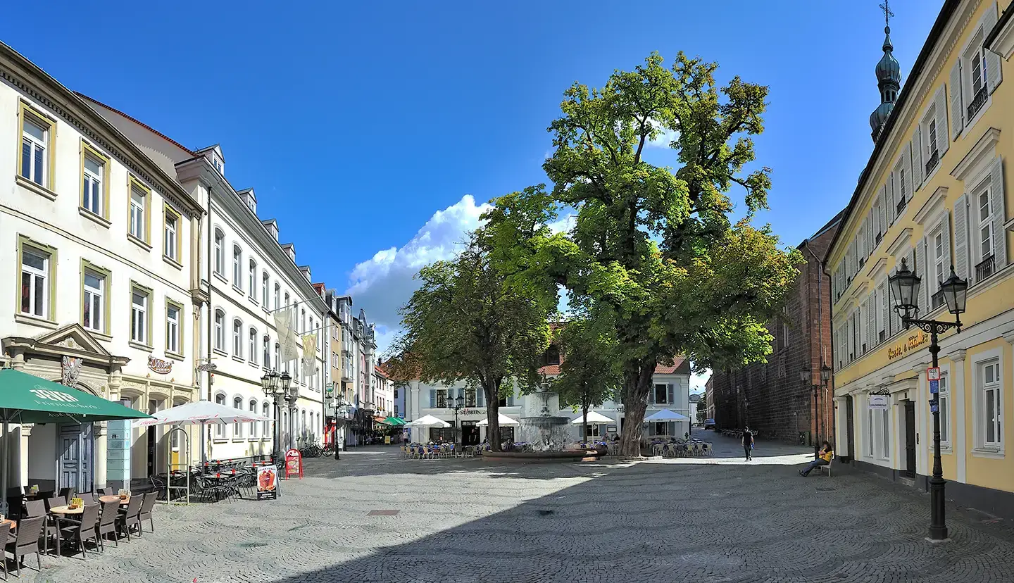 Kaiserslautern, der St.-Martins-Platz mit dem Schwanenbrunnen in der Altstadt,
