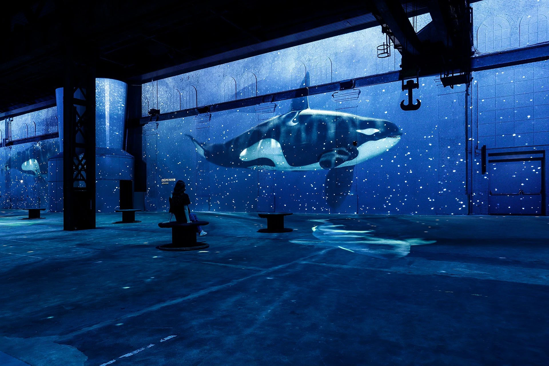 Das Bild zeigt eine beeindruckende Projektion im 