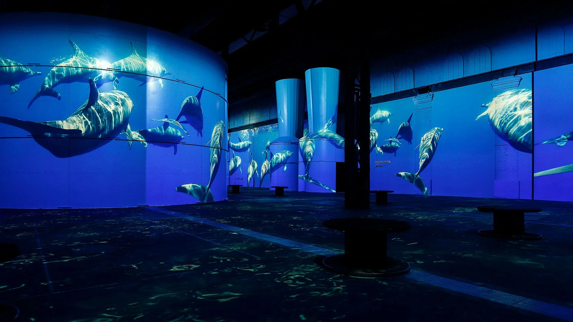 Das Bild zeigt eine beeindruckende, immersive Projektion im 