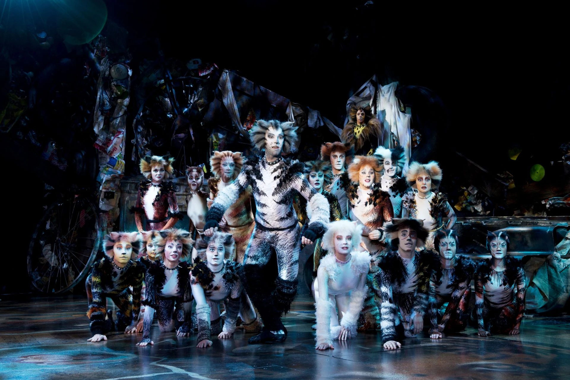 CATS Musical Szenenbild - Darsteller als Katzen auf einer Stelle