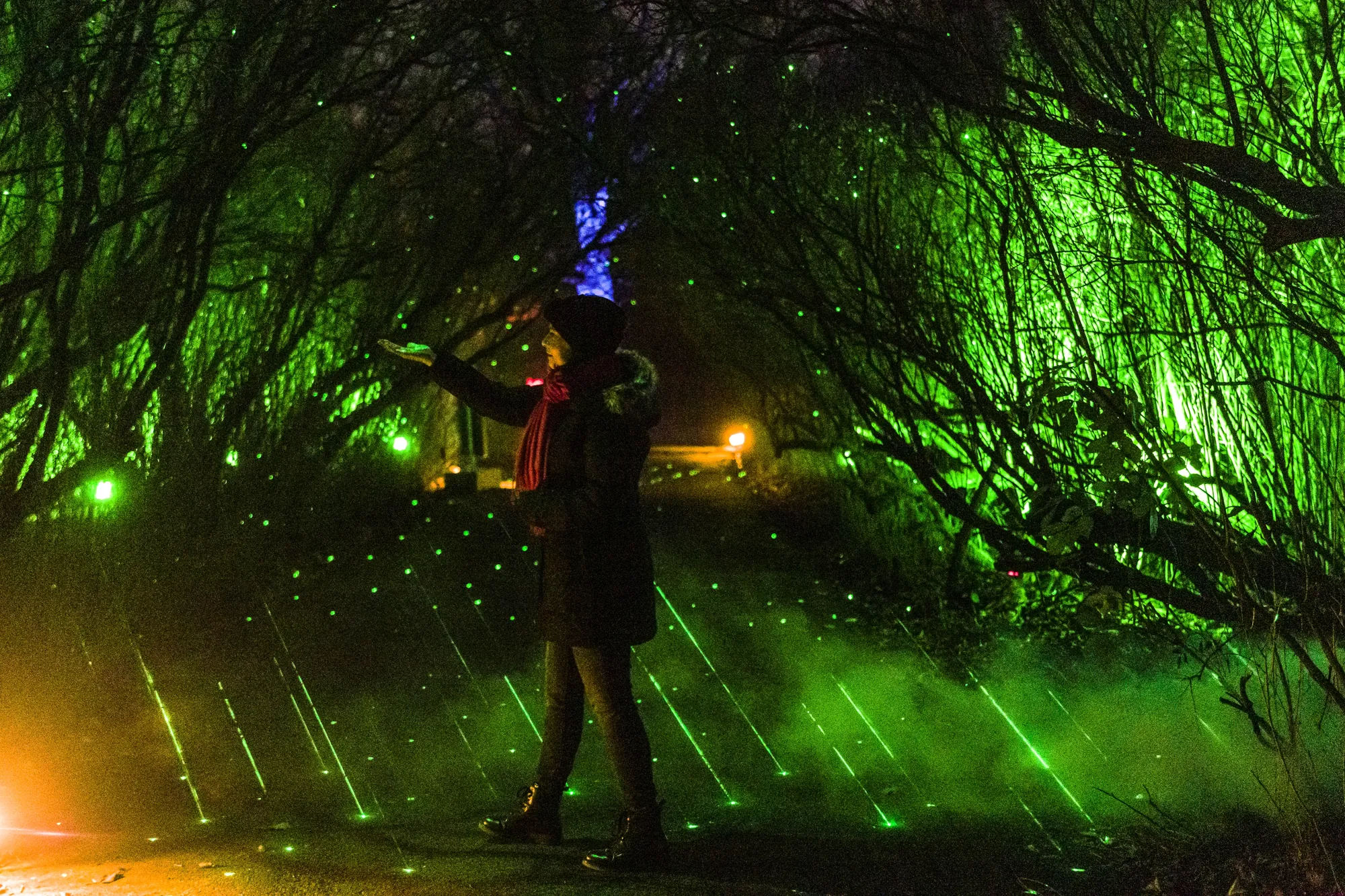 Christmas Garden 2023 - Augsburg - Lasergarten, Frau im dunklen Garten, grüne Laser beleuchten den Wald