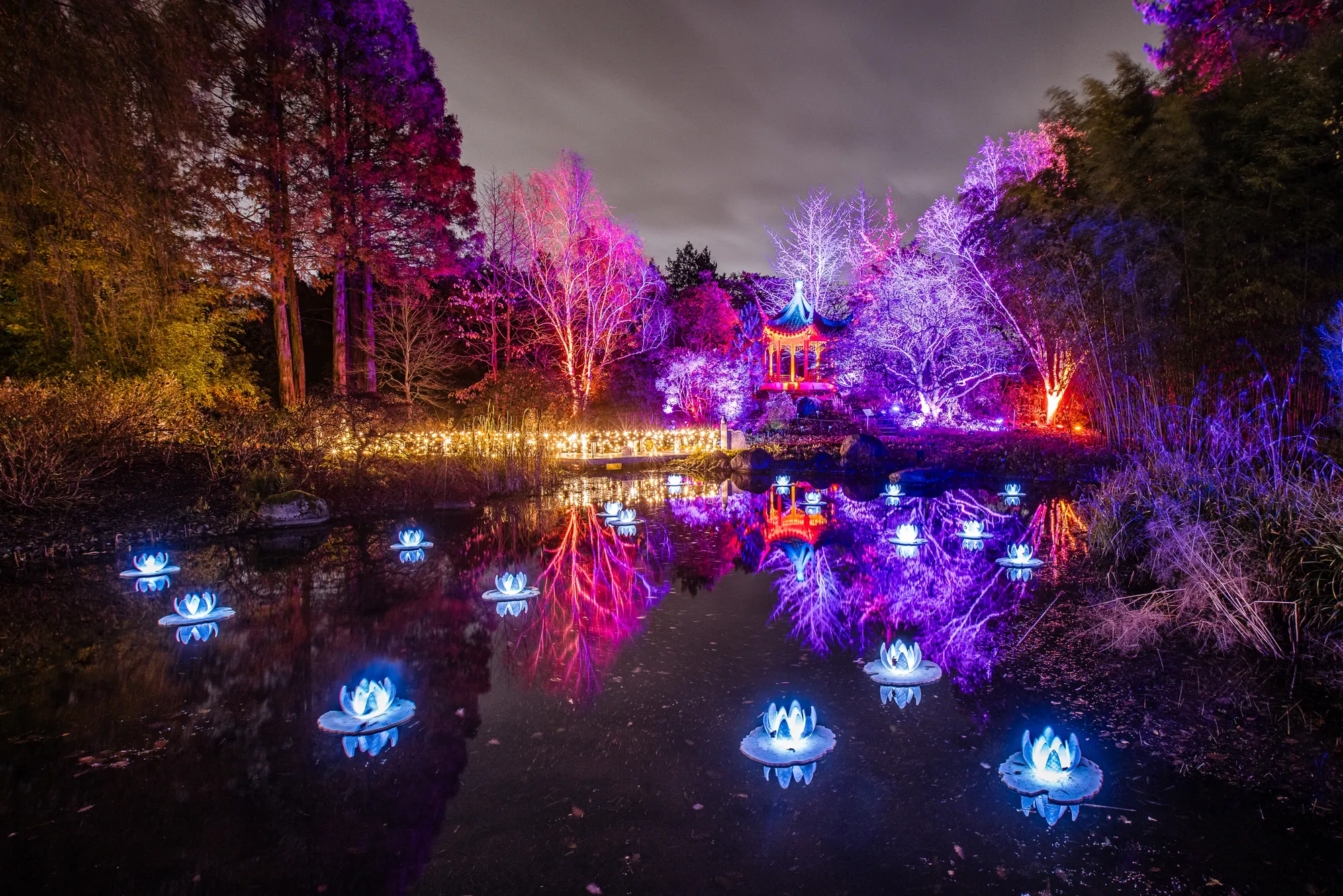 Christmas Garden 2023 - Hamburg - See der Weisheit, See mit leuchtenden Rosen und bunten Bäumen, märchenhafte Stimmung