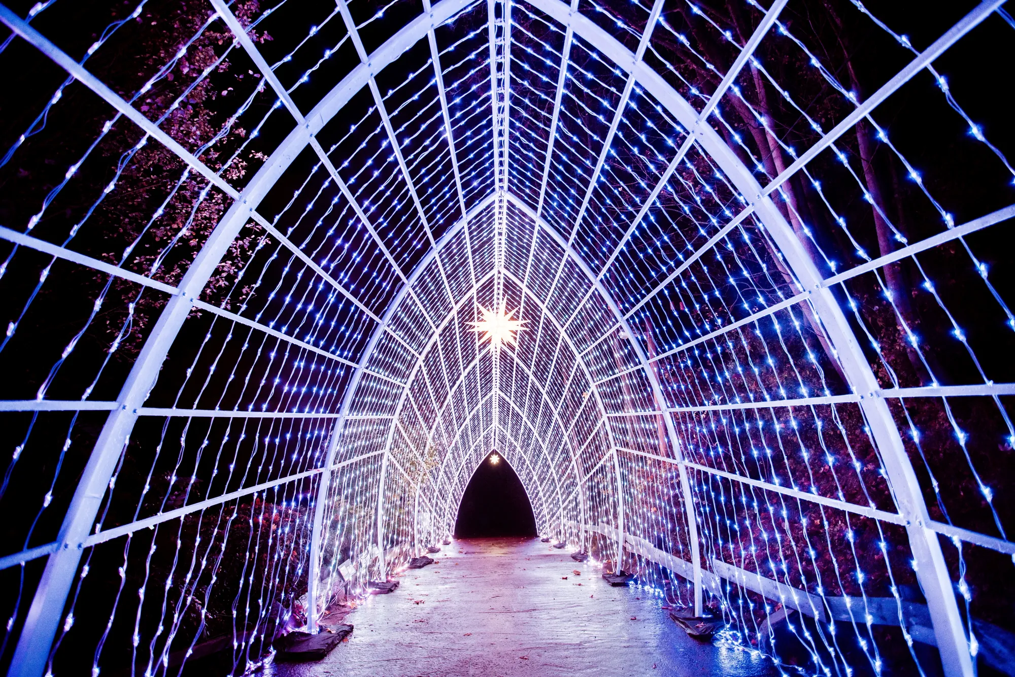 Christmas Garden 2023 - Kathedrale der Farben in Hannover, Tunneldurchgang aus leuchtenden Drähten bei Nacht