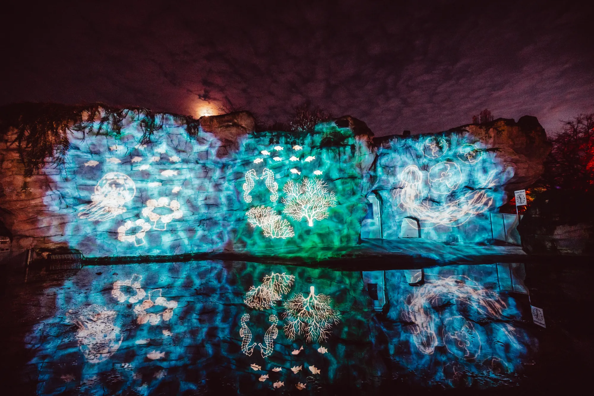 Christmas Garden 2023 - Steinfelsen mit leuchtenden Unterwasser Effekten bei Nacht. Auf dem Wasser Reflektionen der Steinbilder