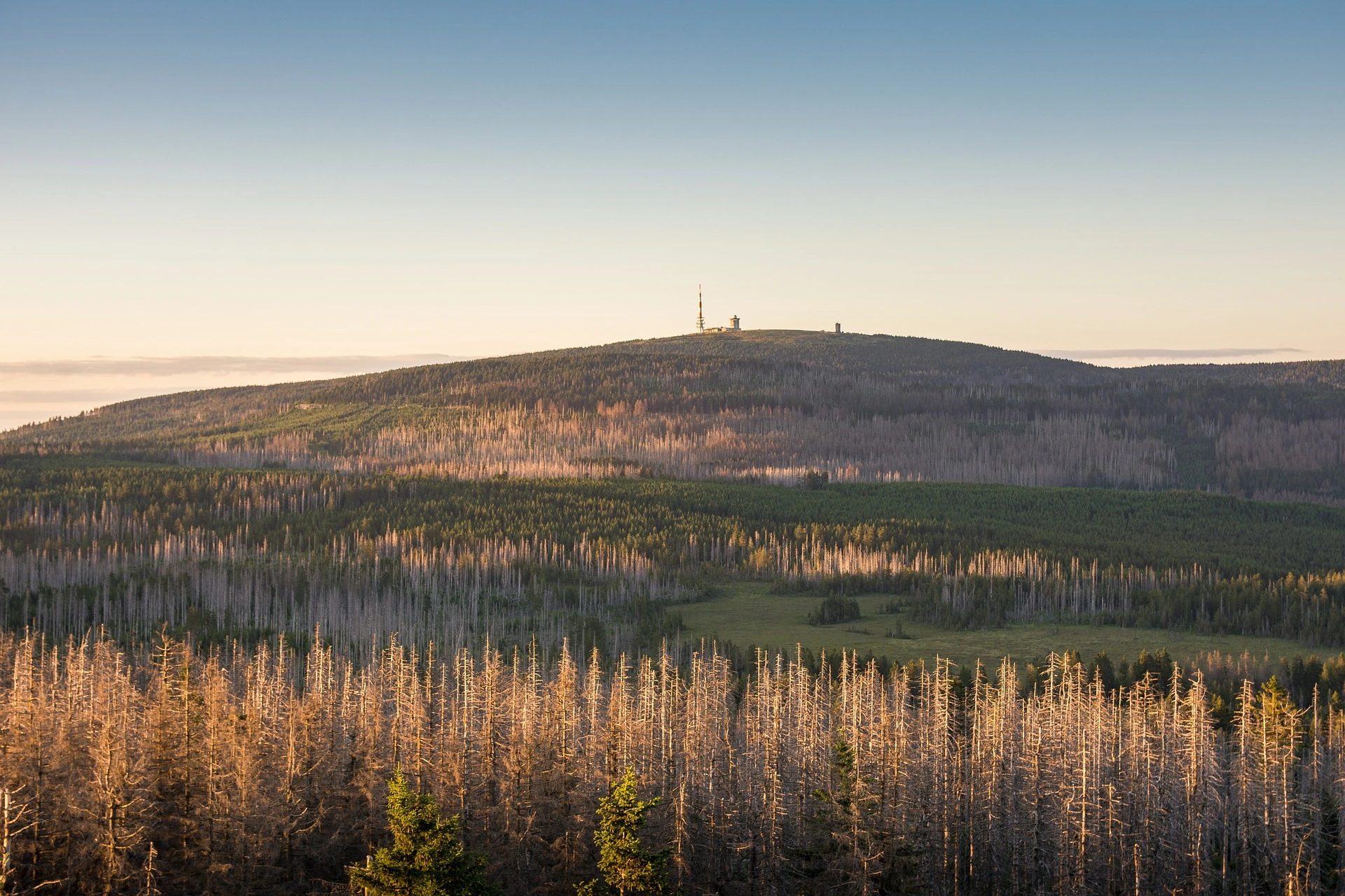 Berg im Harz