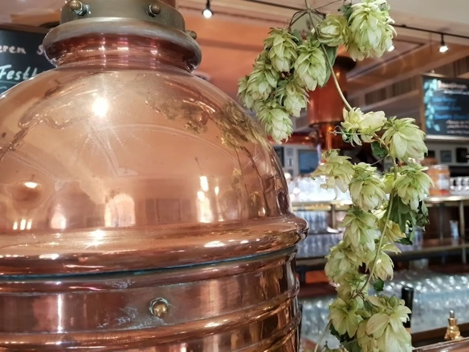 Braukessel bei einer Craft-Bier Führung in einer Craftbeer Brauerei