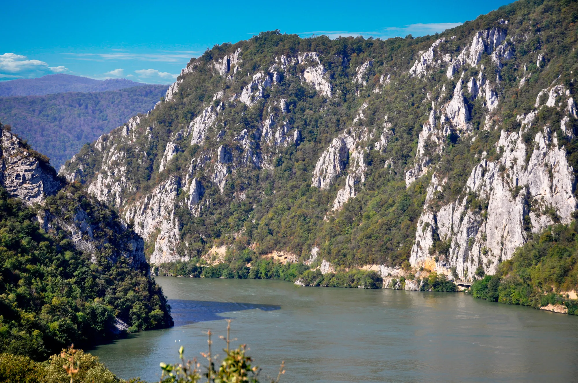Donau nahe Donji Milanovac