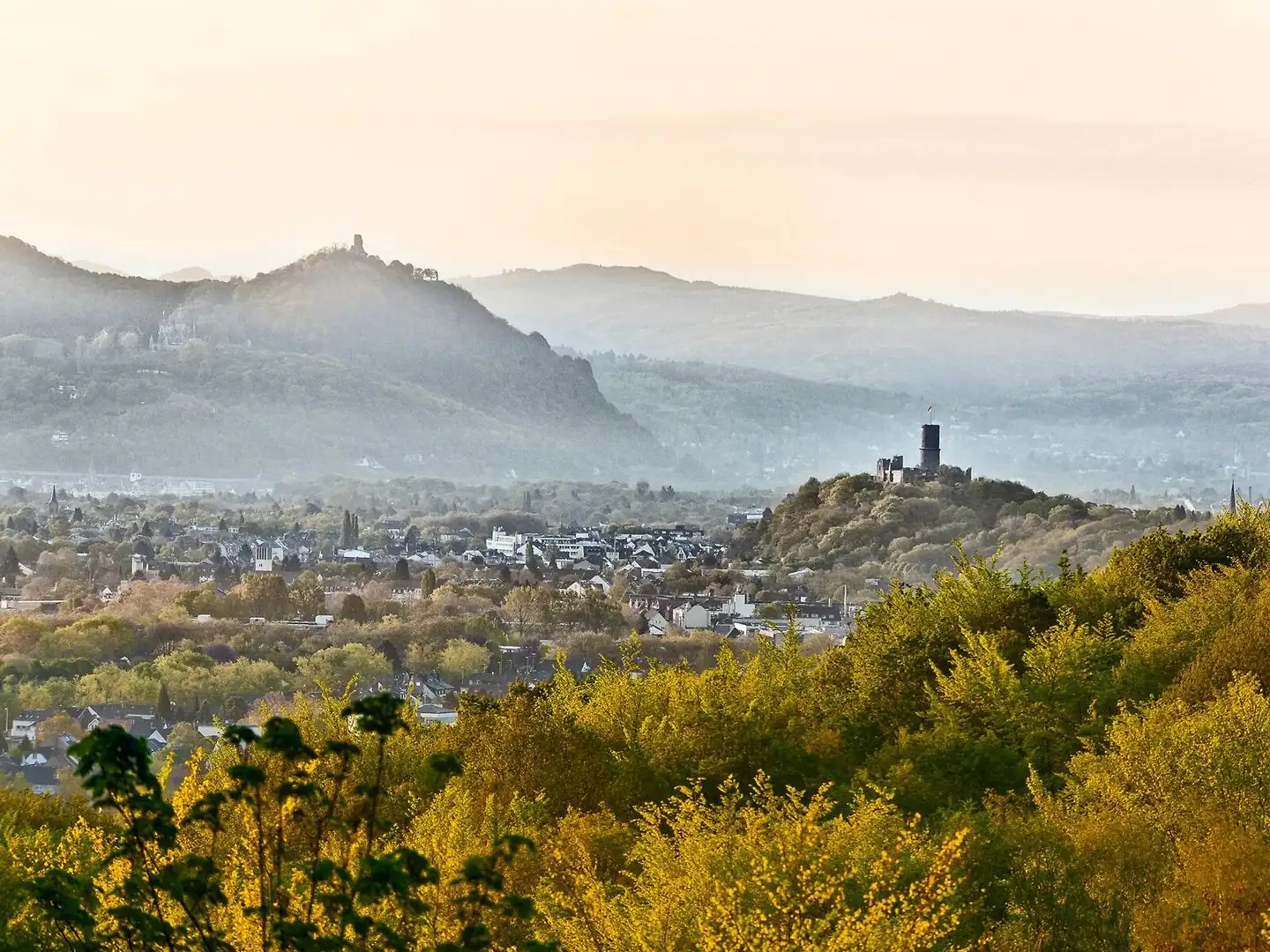 Blick auf den Venusberg mit Vegetation im Vordergrund und Stadt Bonn im Tal bei Dämmerung