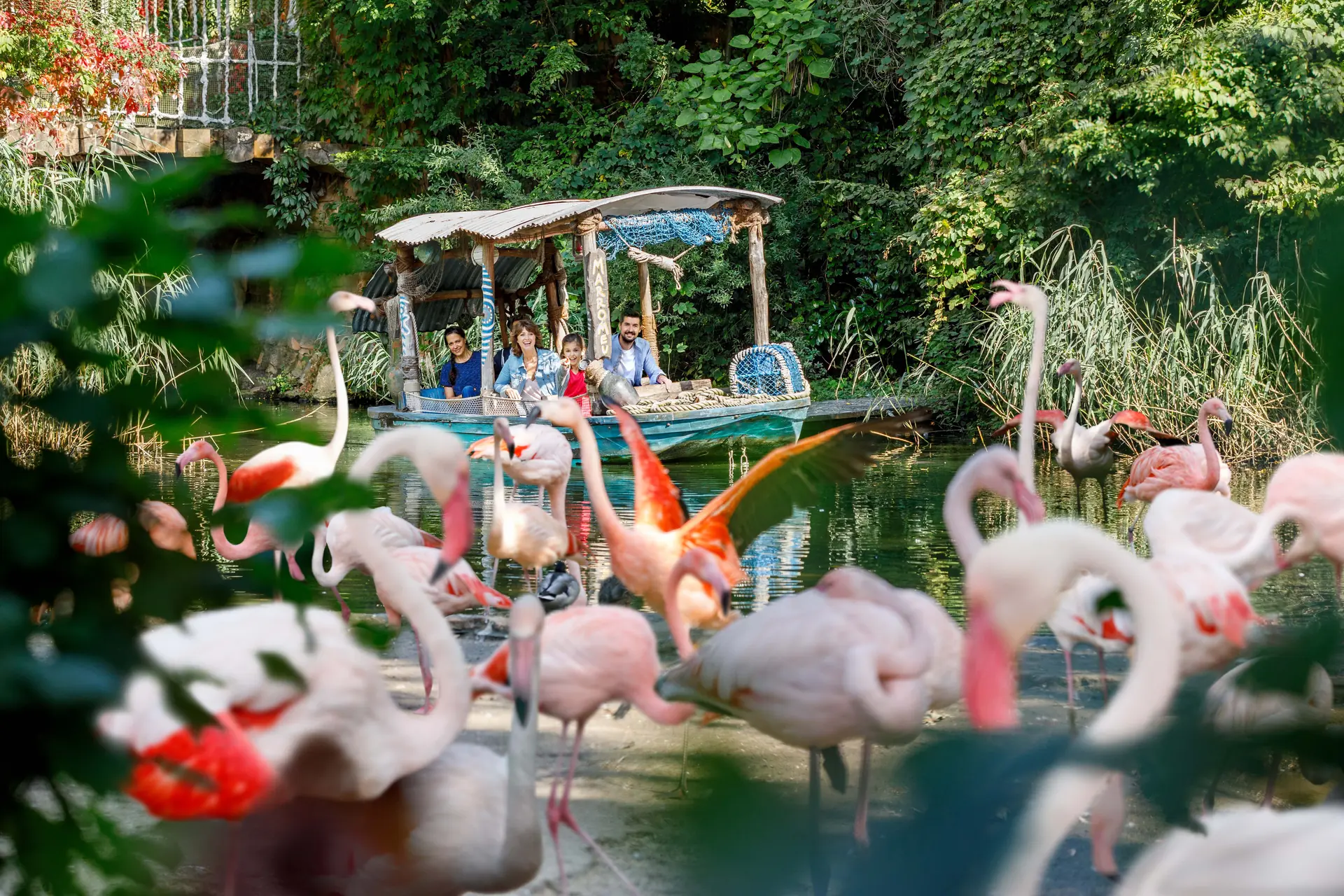Familie im Boot blickt auf rosa Flamingos während der Sambesi Bootsfahrt im Erlebnis Zoo Hannover