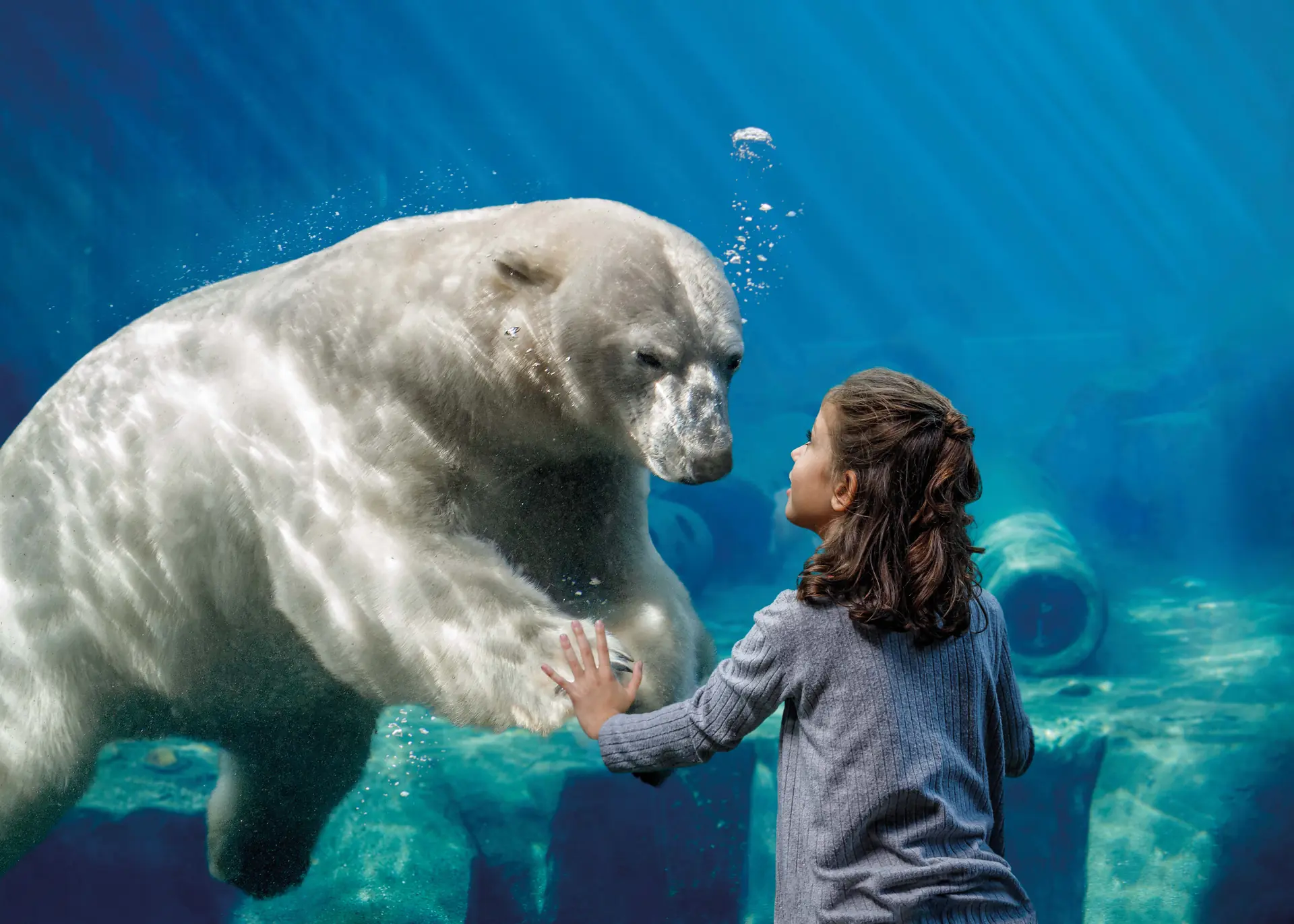 Unterwasser-Panorama im Yukon Bay mit Eisbär und kleinem Mädchen, die sich an der Glasscheibe begegnen im Erlebnis Zoo Hannover