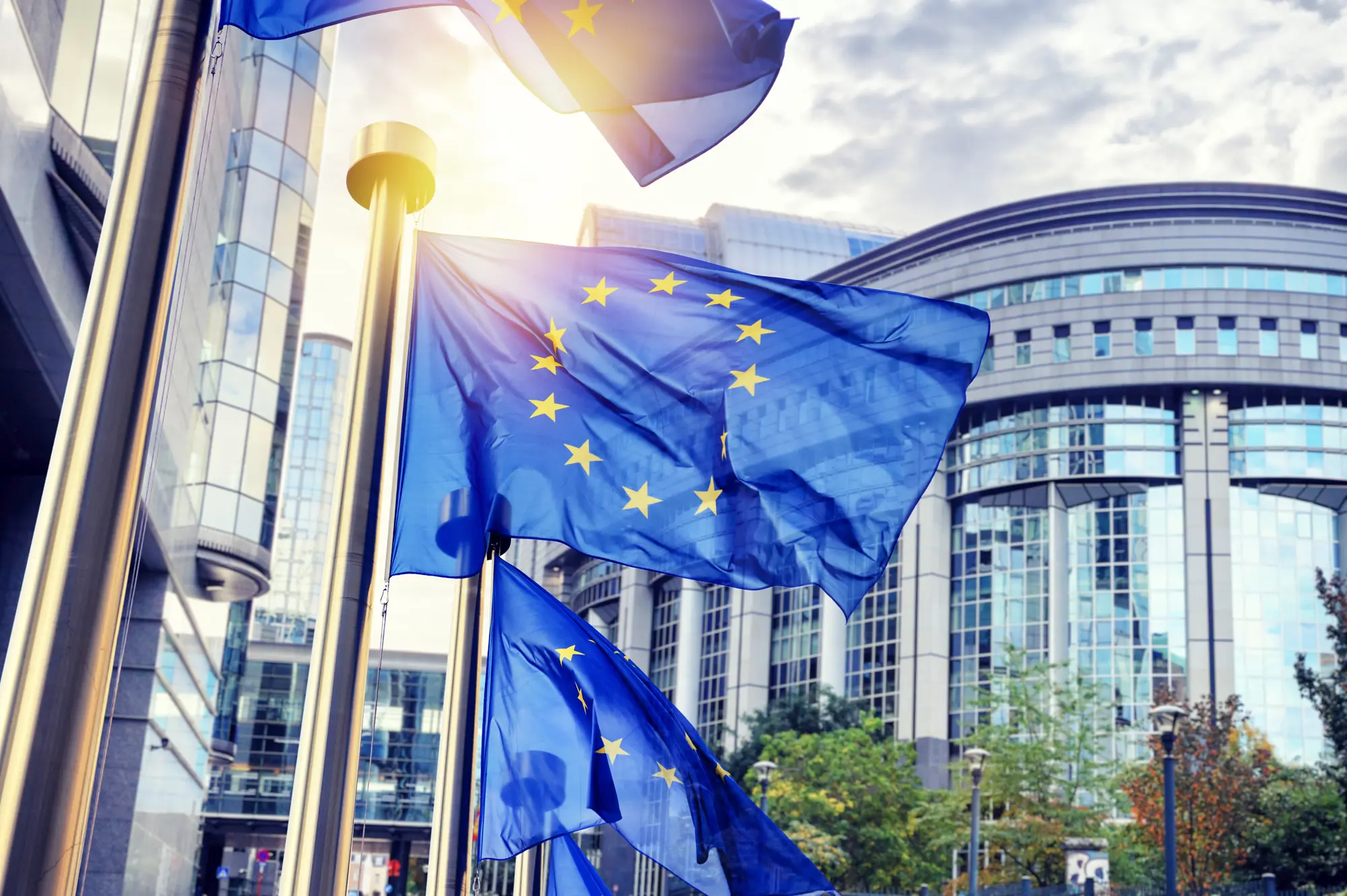 Flaggen der Kulturhauptstädte vor dem Europäischen Parlament in Brüssel, die die Vielfalt und kulturelle Identität Europas symbolisieren.