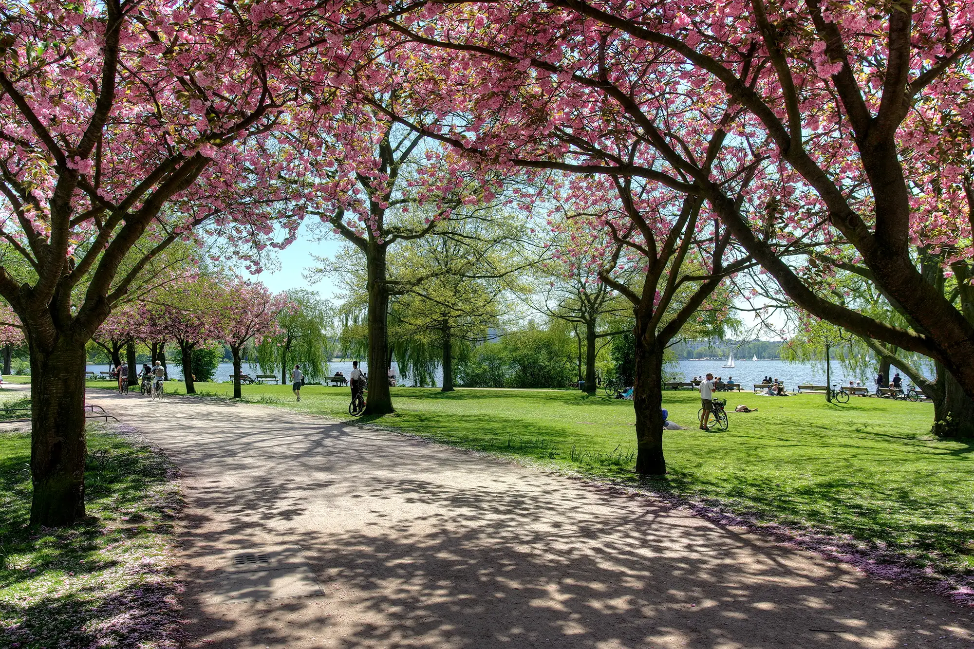 Hamburg - Frühling im Alsterpark mit Blick auf die Alster