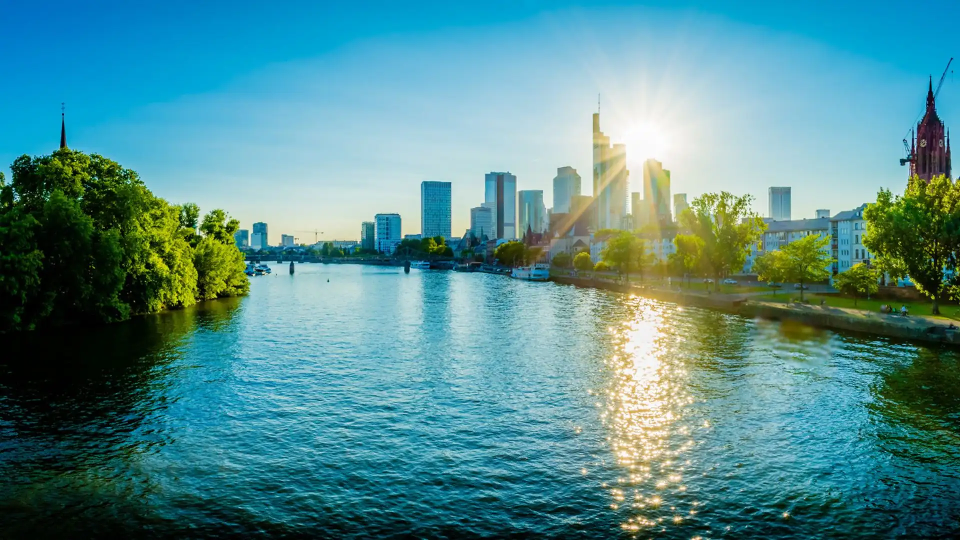 Panoramablick auf die Frankfurter Skyline im Sommer