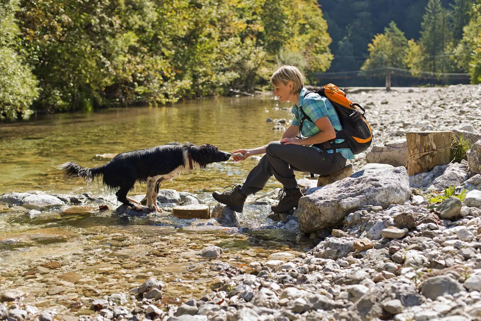 Frau mit Rucksack sitzt auf einem Stein am Bach und reicht einem Hund Wasser aus der Hand
