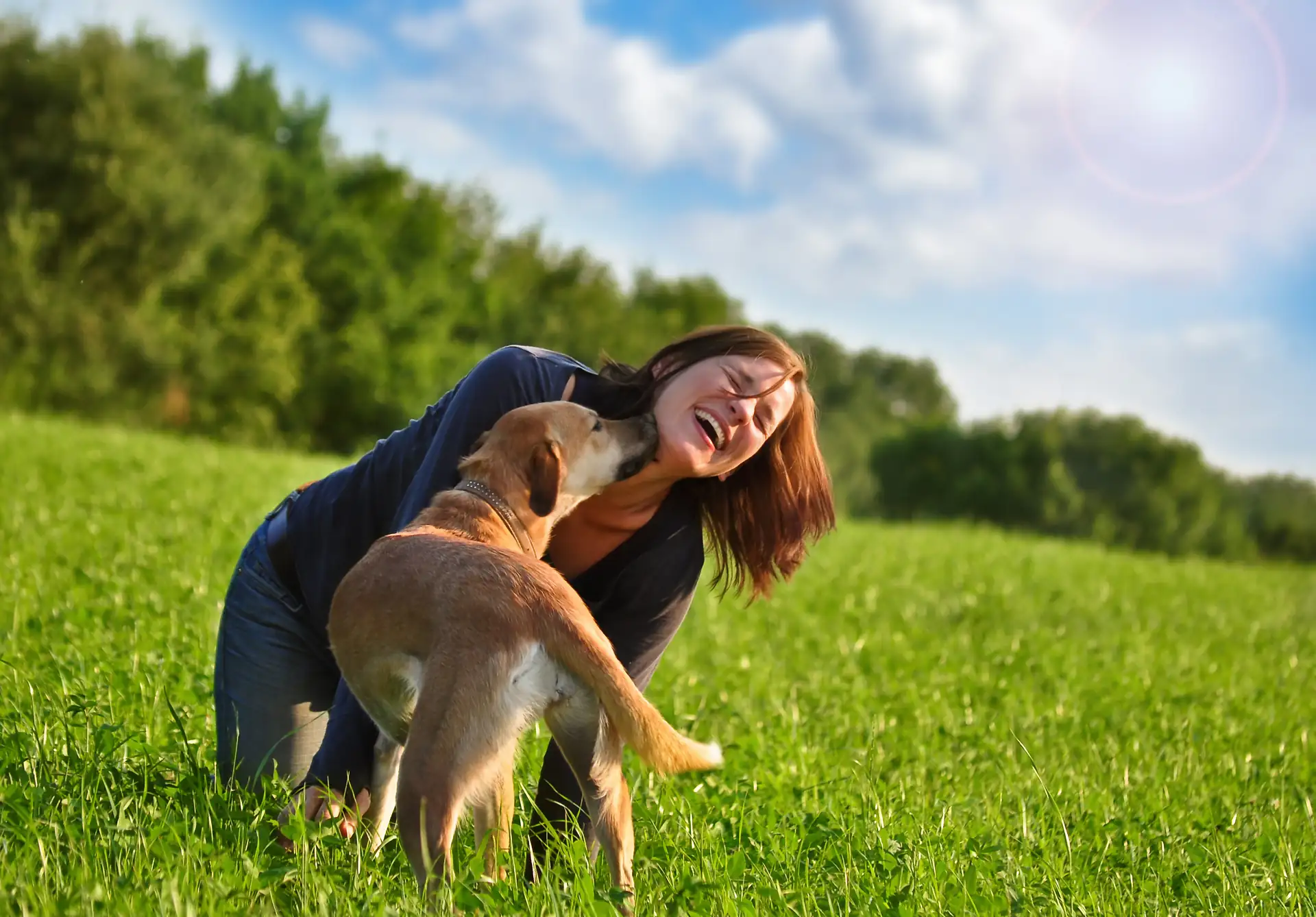 Frau kniet auf einer Wiese und wird von einem Hund angesprungen