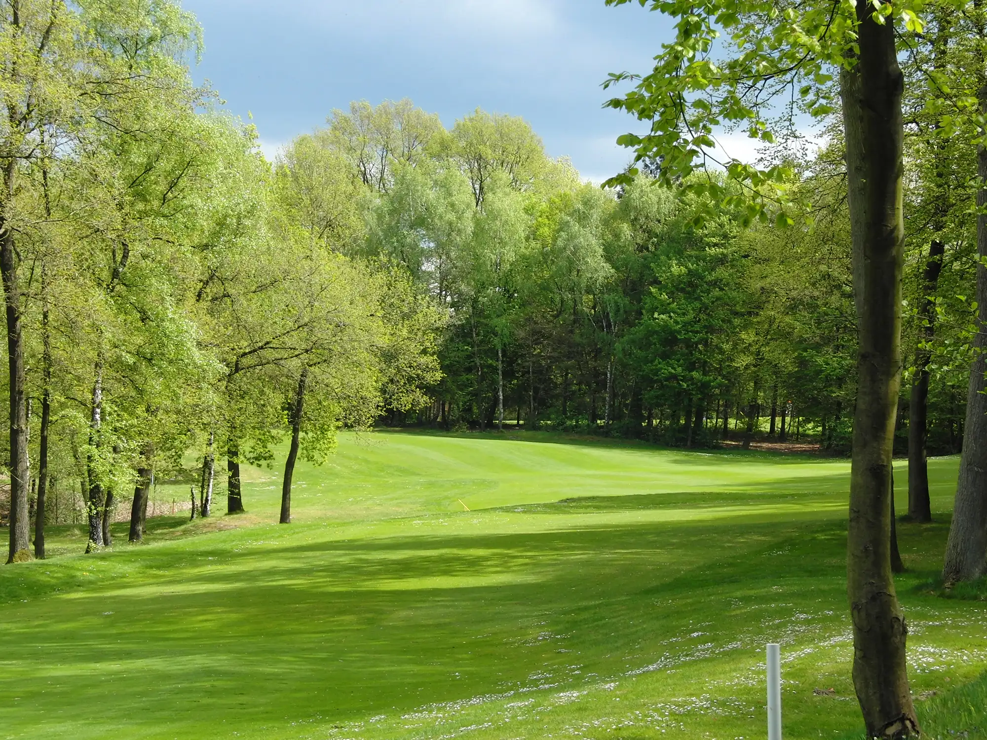 golfclub-habichtswald3
