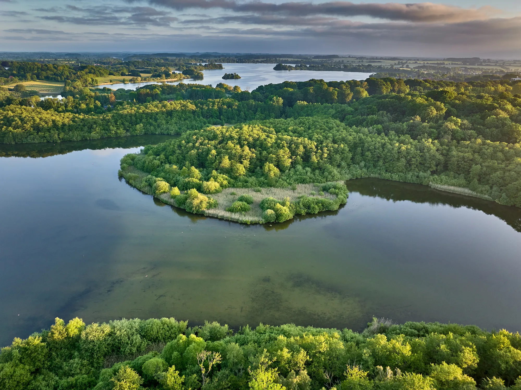 Großer und kleiner Plöner See umgeben von großen grünen Wäldern