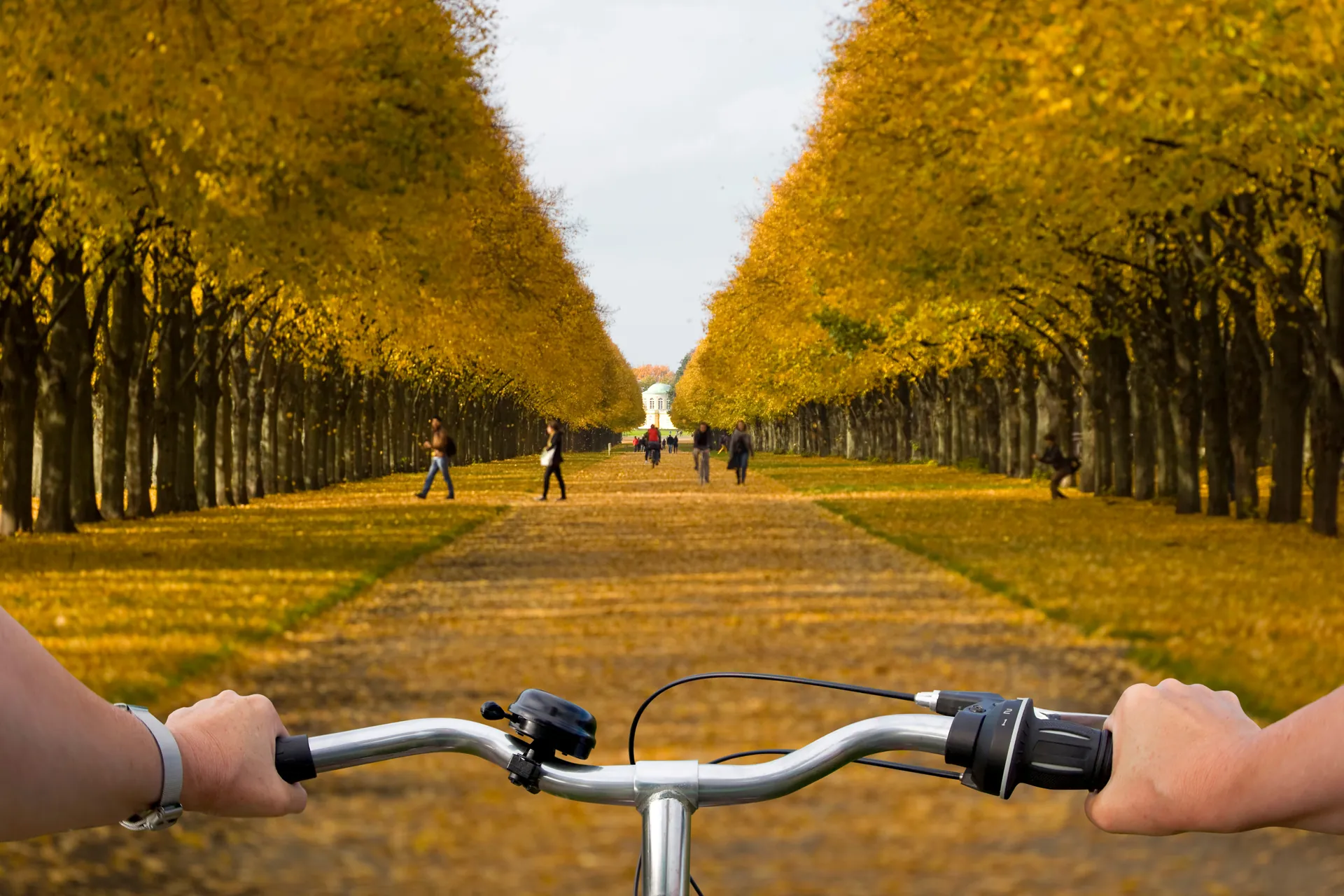 Radfahren in Hannover im Georgengarten auf mit Herbstlaub bedckten Weg