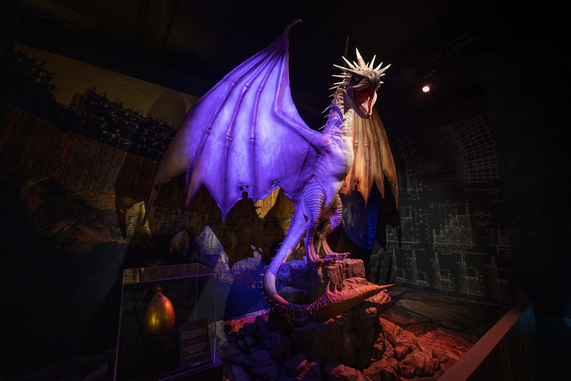 Harry Potter™: Die Ausstellung in München, Drache