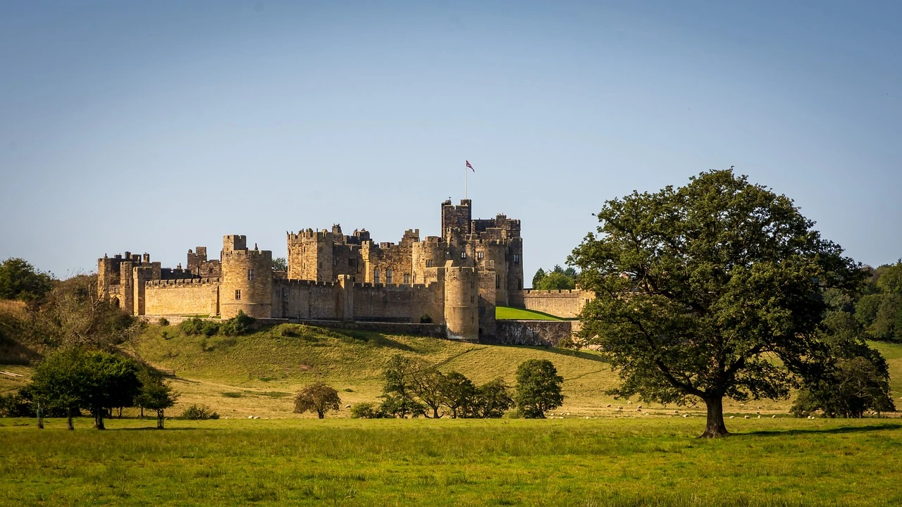 Das Bild zeigt Alnwick Castle, eine beeindruckende mittelalterliche Festung in Northumberland, England. Die Burg erhebt sich auf einem sanften Hügel und wird von einer weiten, grünen Landschaft umgeben. Die imposanten Steinmauern und Türme, die von einer Fahne gekrönt werden, dominieren die Szenerie. Im Vordergrund steht ein großer, majestätischer Baum, der die Weite und Schönheit der ländlichen Umgebung betont. Das klare, sonnige Wetter lässt die Burg und ihre Umgebung besonders idyllisch wirken.
