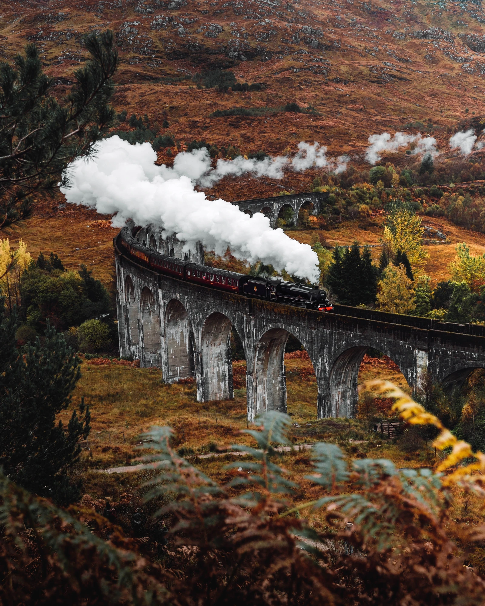 Das Bild zeigt das Glenfinnan Viaduct, das sich elegant über eine herbstlich gefärbte Landschaft erhebt. Eine Dampflokomotive rollt über die beeindruckende Steinbrücke, während sie eine Dampfwolke hinter sich lässt. Die umliegenden Hügel und Bäume präsentieren sich in warmen, goldenen und orangefarbenen Herbsttönen, die die natürliche Schönheit der schottischen Highlands unterstreichen. Die Szenerie strahlt eine nostalgische Atmosphäre aus und fängt die harmonische Verbindung zwischen Mensch und Natur ein.