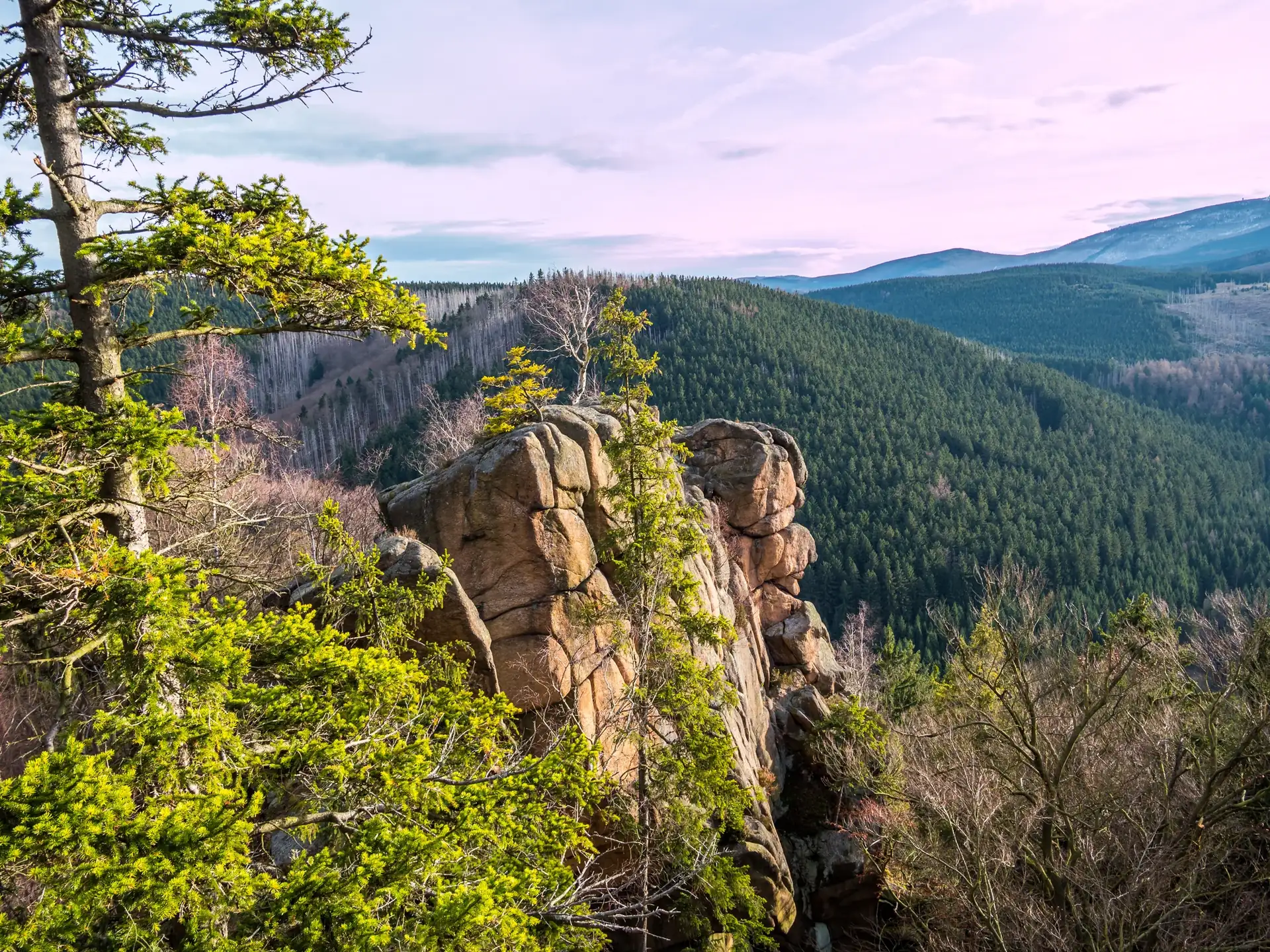 Rabenklippen: Felsformation mit einzelnen Bäumen auf einem bewaldeten Bergrücken im Harz-Nationalpark