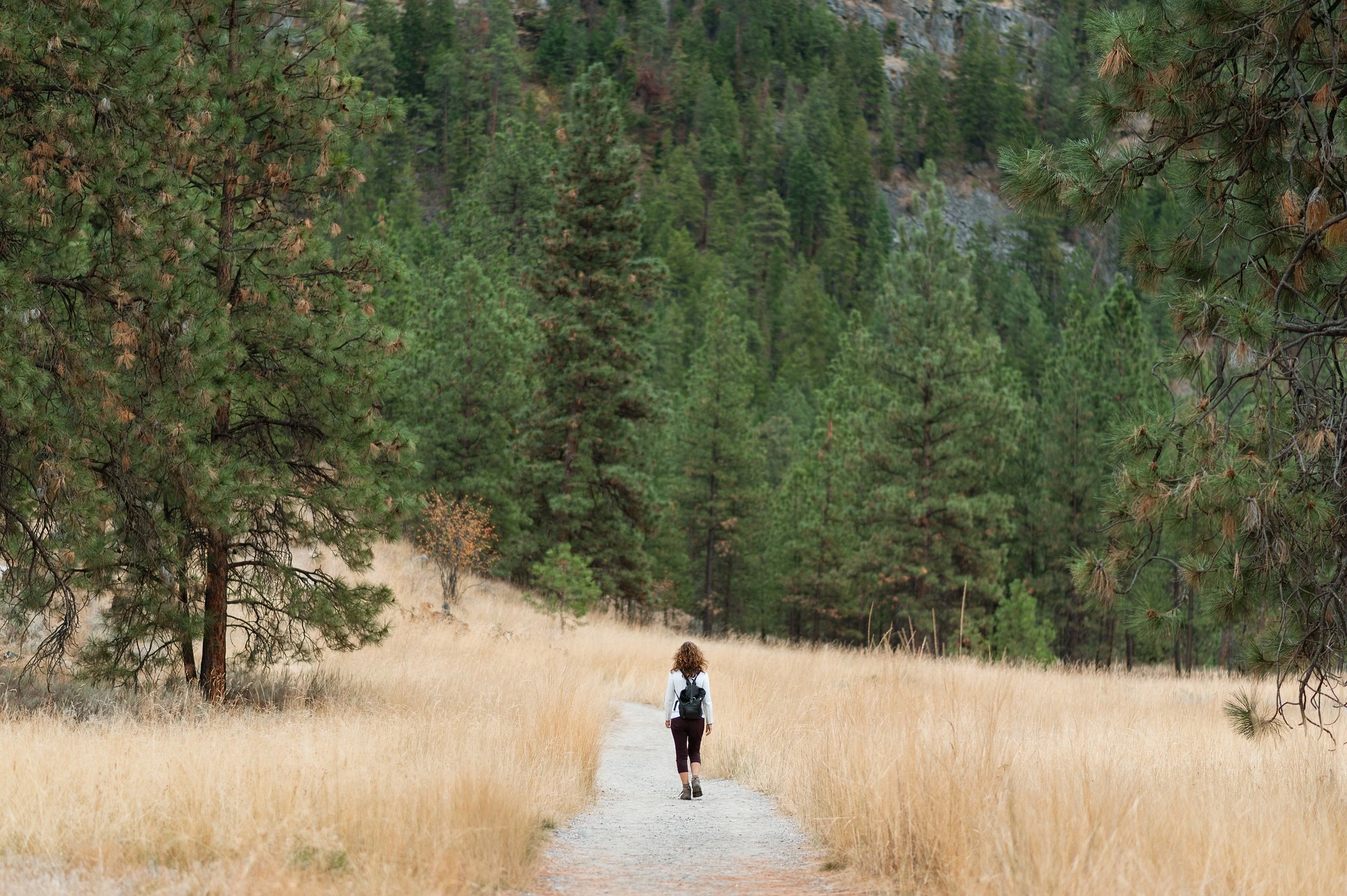 Das Bild zeigt eine Frau, die auf einem ruhigen Wanderweg durch eine weite, natürliche Landschaft spaziert. Der Weg ist von hohen, grünen Bäumen umgeben, die eine beruhigende, unberührte Atmosphäre schaffen. Der goldene Gräserboden ergänzt die üppige Vegetation und lässt den Spaziergang noch entspannter erscheinen. Die Person trägt einen Rucksack und sportliche Kleidung, was auf eine entspannte Wanderung oder Erkundungstour in der Natur hinweist. Der Blick ist auf den Weg gerichtet, der von der Waldlandschaft flankiert wird, was ein Gefühl von Freiheit und Abenteuer vermittelt.