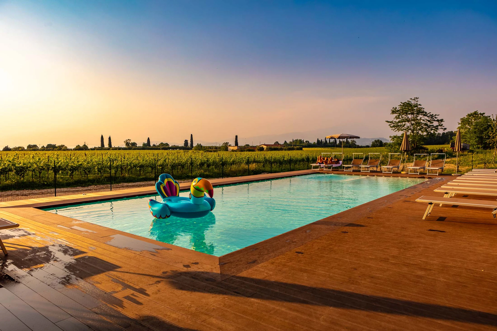 Adult Pool im Leonardo Hotel Lago di Garda vor Weinreben mit Schwimmtier und Poolliegen