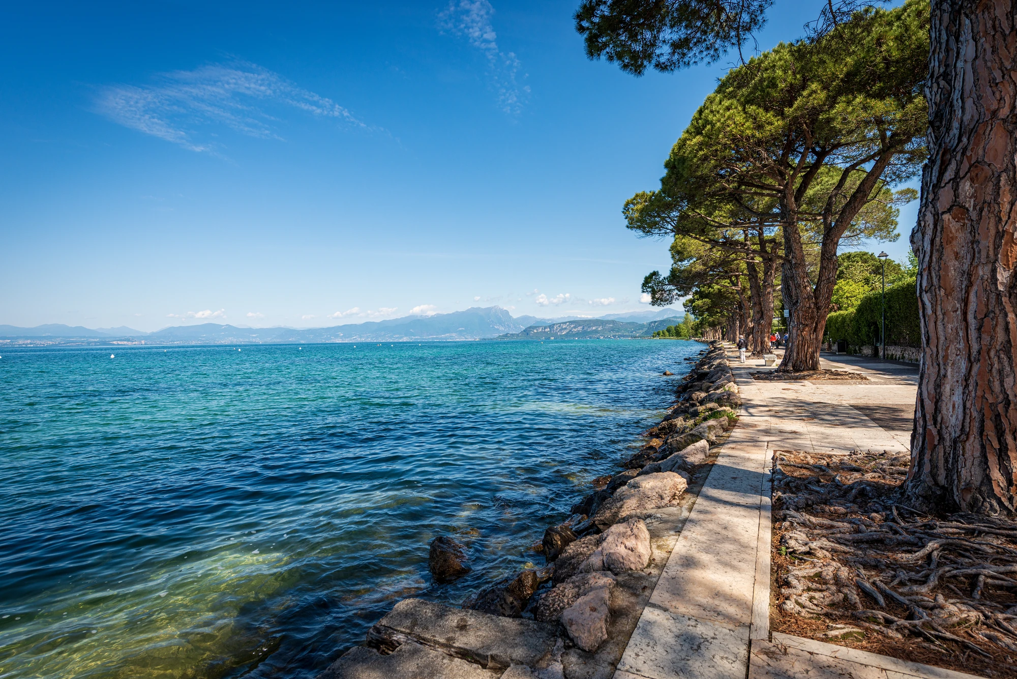 Promenade in Lazise am Gardasee, gesäumt von Bäumen und mit den majestätischen Bergen im Hintergrund. Bei sonnigem und klarem Wetter strahlt die Szene eine einladende und entspannte Atmosphäre aus, während die Natur und die malerische Umgebung zum Verweilen einladen.