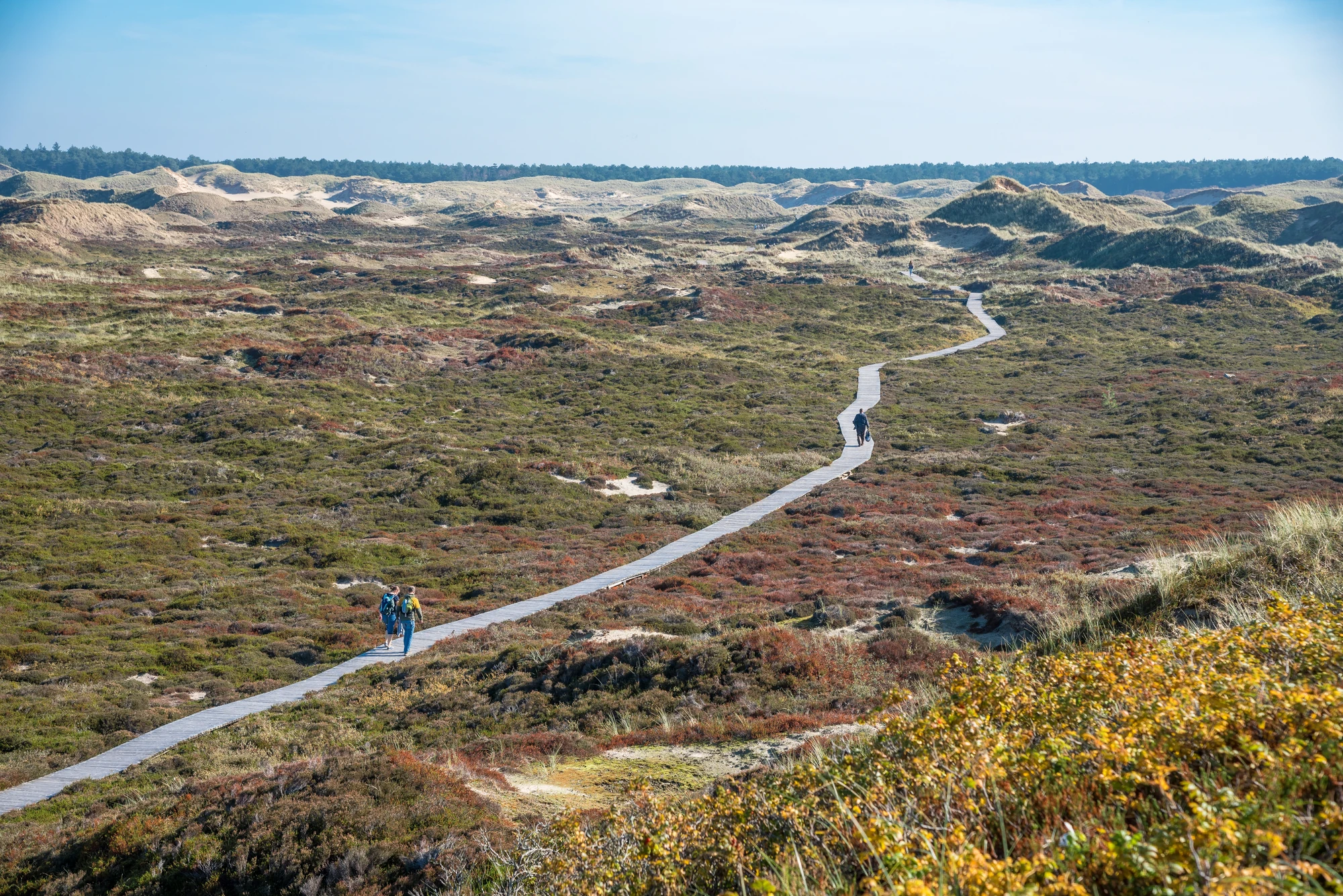 Menschen unterwegs auf Bohlenweg auf der Nordseeinsel Amrum