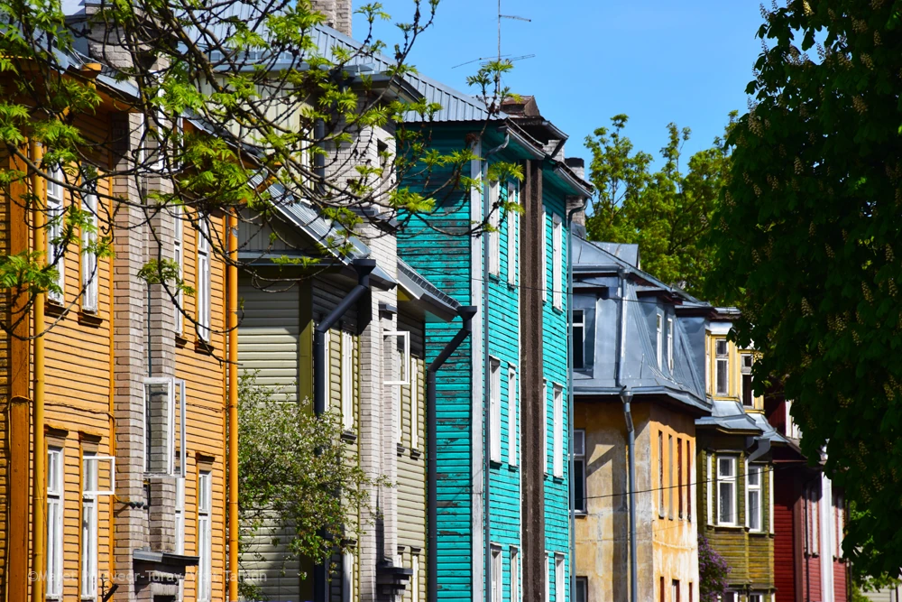 Blick auf bunte Häuser im Kalamaja Viertel in Tallinn bei Sonnenschein
