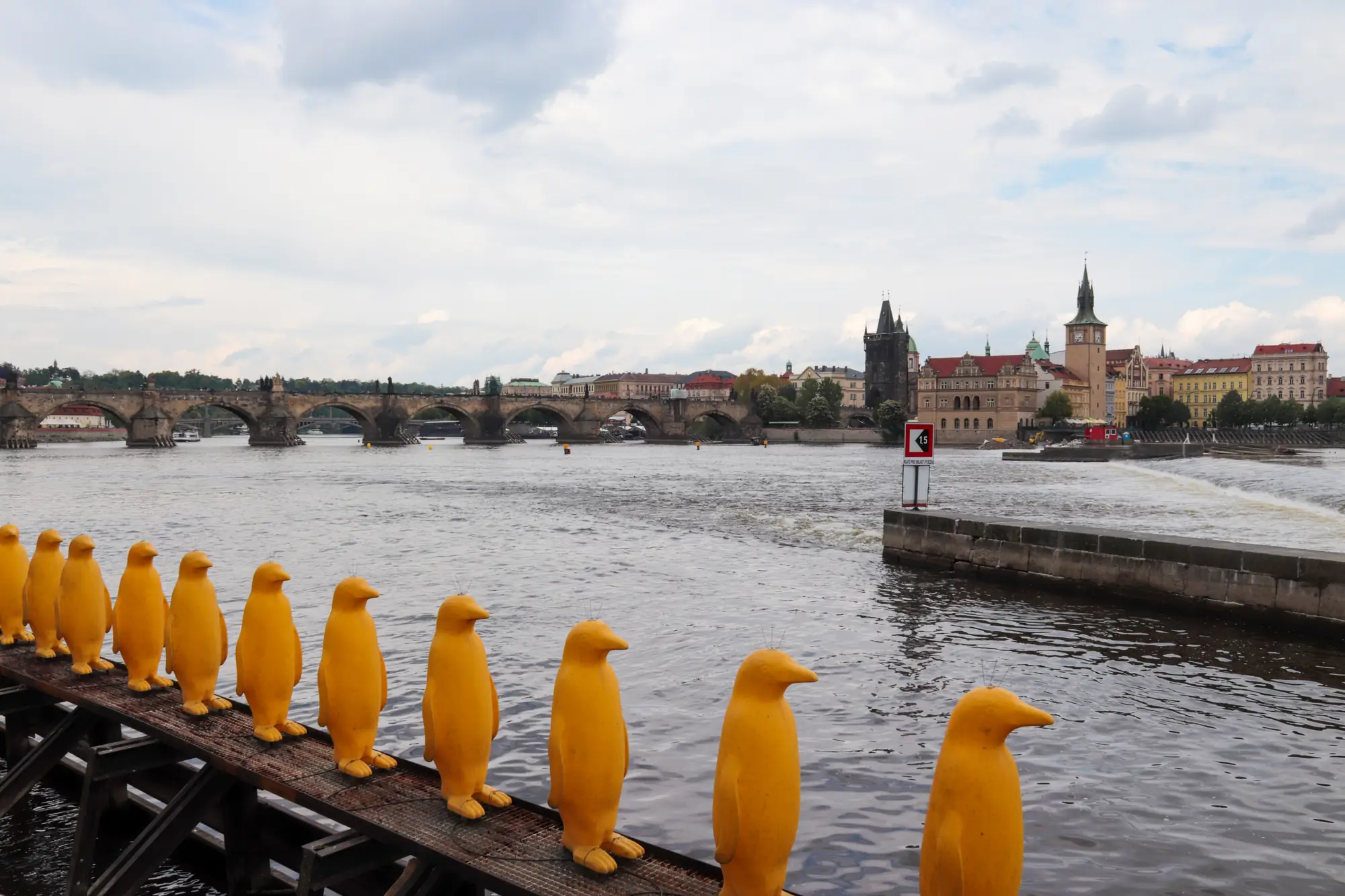Gelbe Pinguine am Ufer von Kampa, Prag