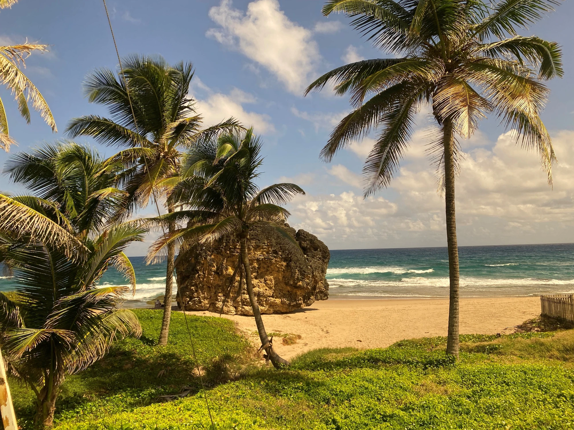 Sandstrand auf Barbados in der Karibik