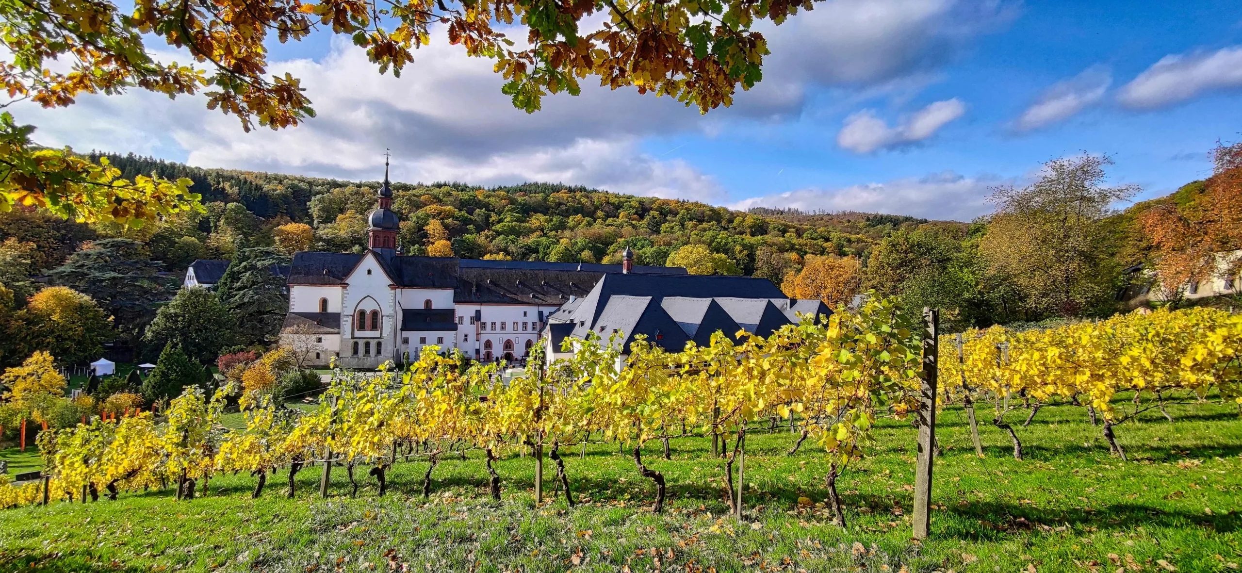Ein Kloster im Rheingau