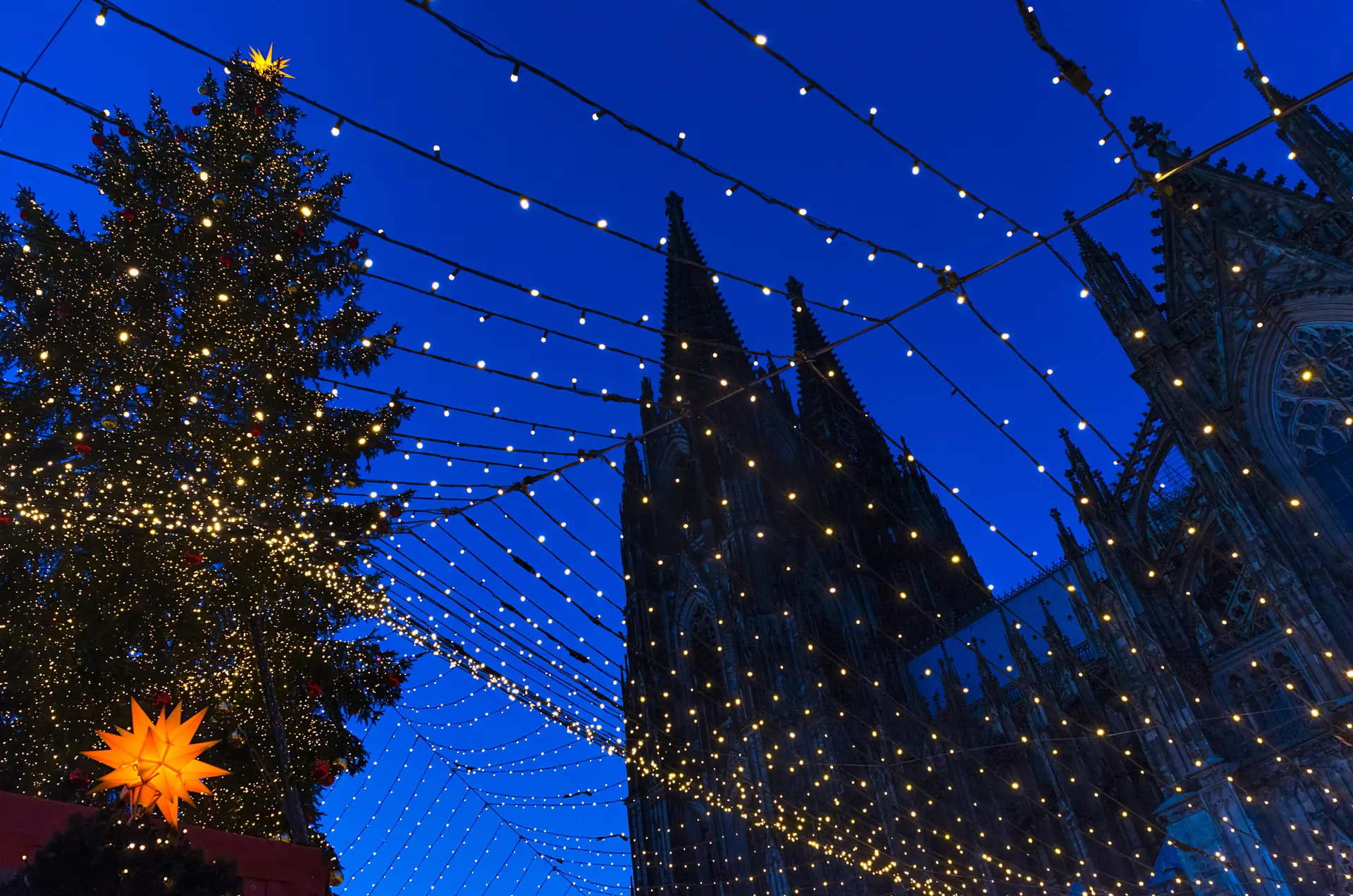 Blick hoch zum Kölner Dom mit Weihnachtsbaum an der Seite und gespannter Lichterkette zur blauen Stunde
